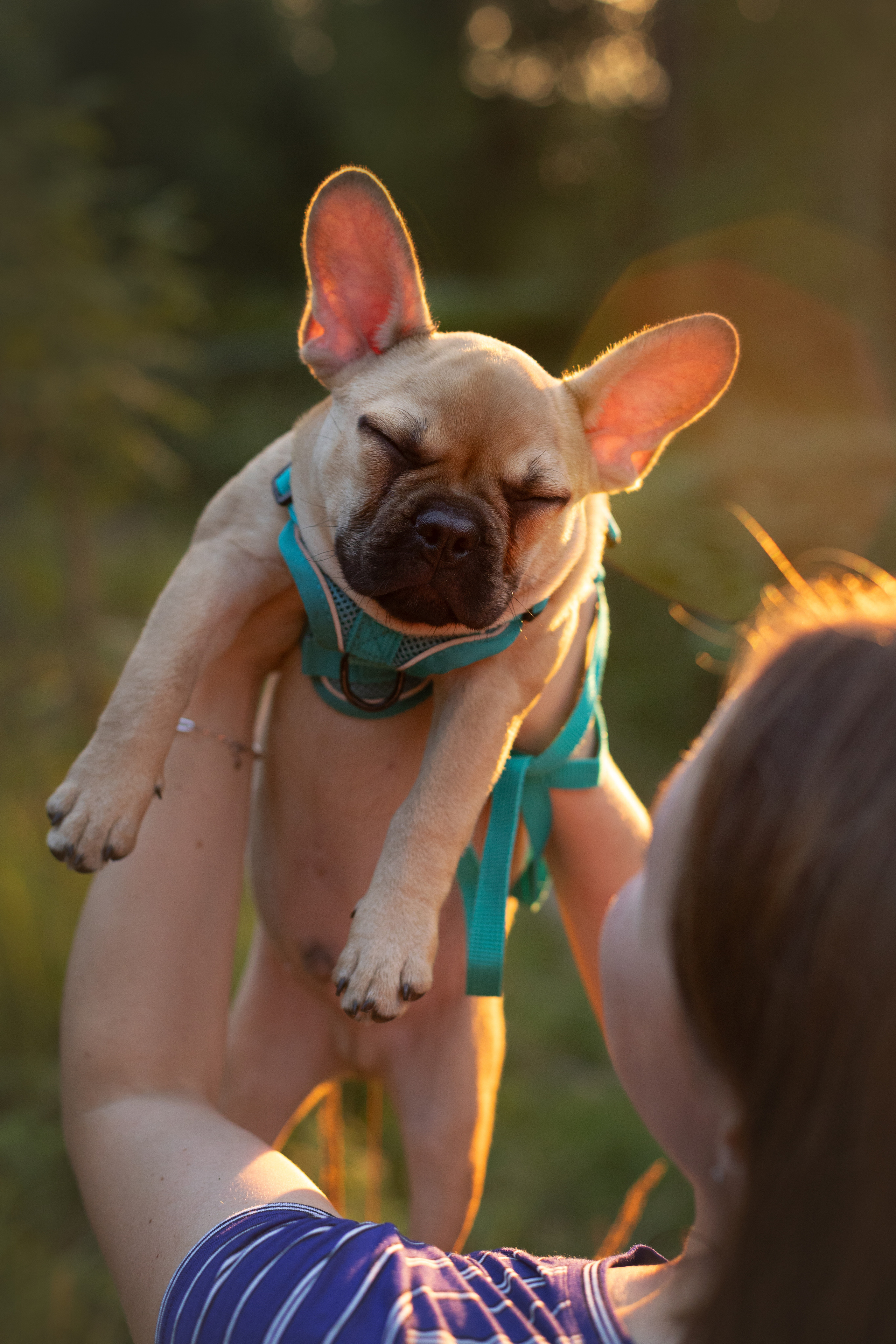 Валерия и Финик. Фотограф анималист в Москве Майорова Евгения