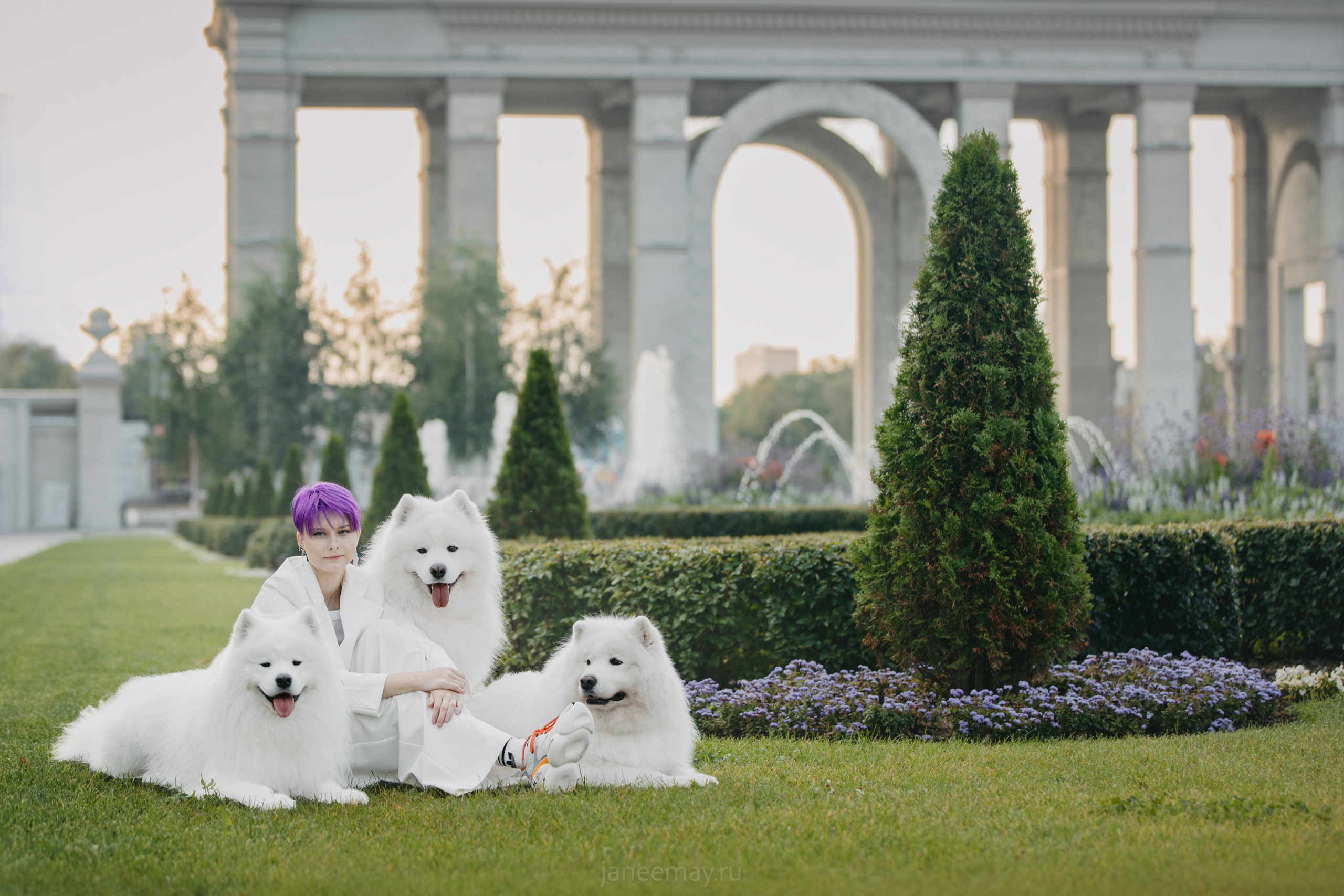 Дана, Никос, Теди и Люкс. Фотограф анималист в Москве Майорова Евгения
