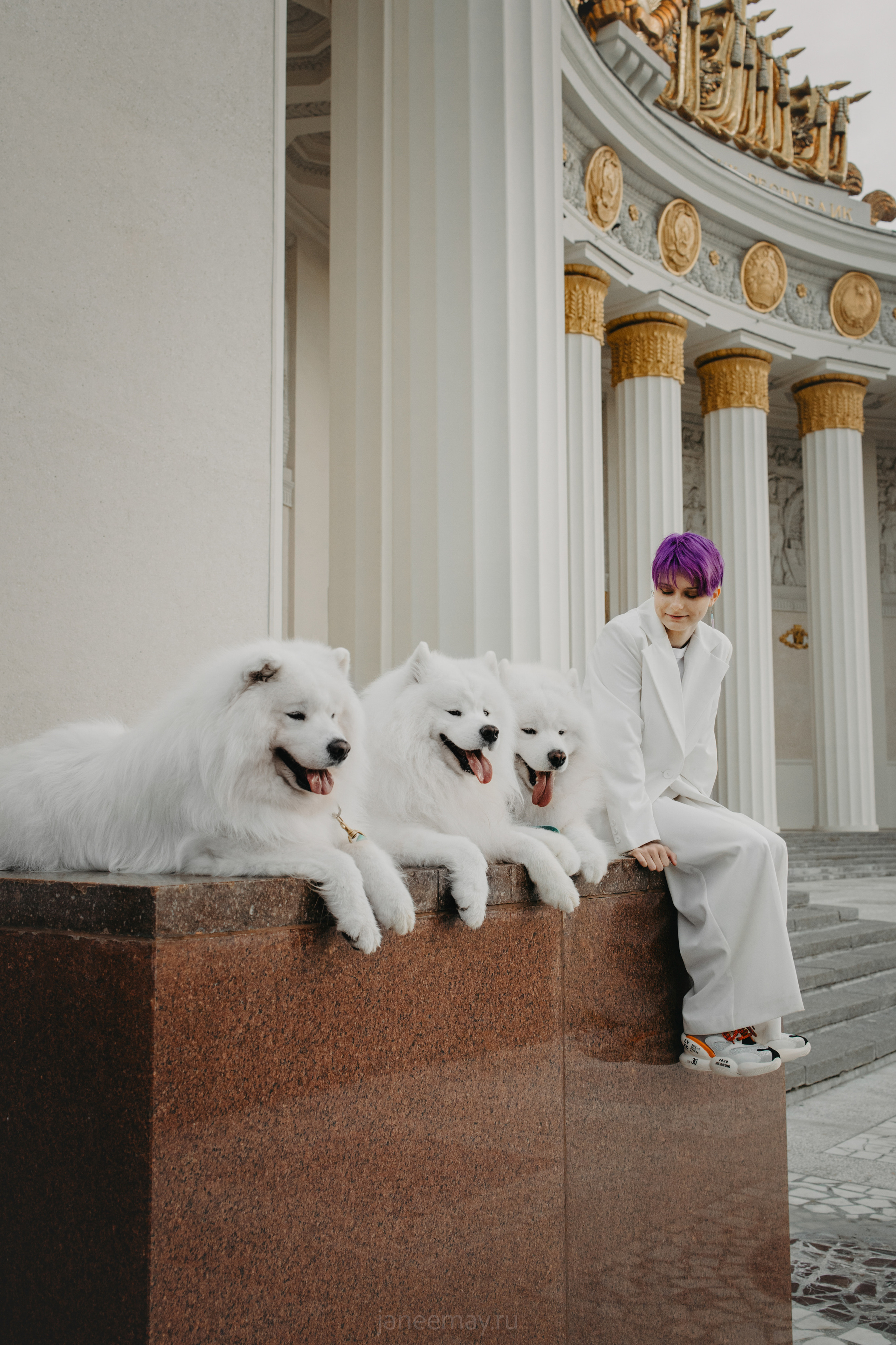 Дана, Никос, Теди и Люкс. Фотограф анималист в Москве Майорова Евгения