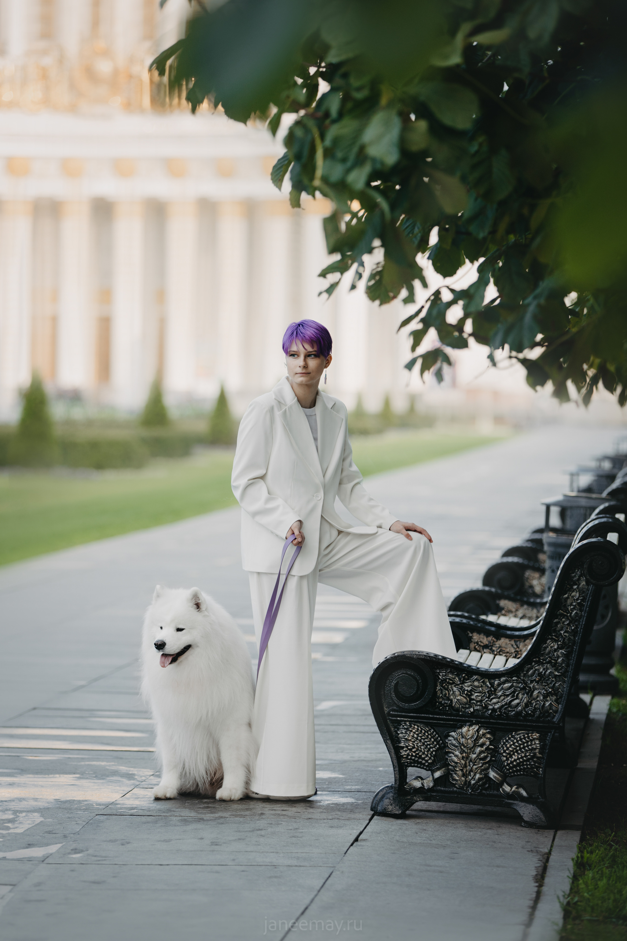 Дана, Никос, Теди и Люкс. Фотограф анималист в Москве Майорова Евгения