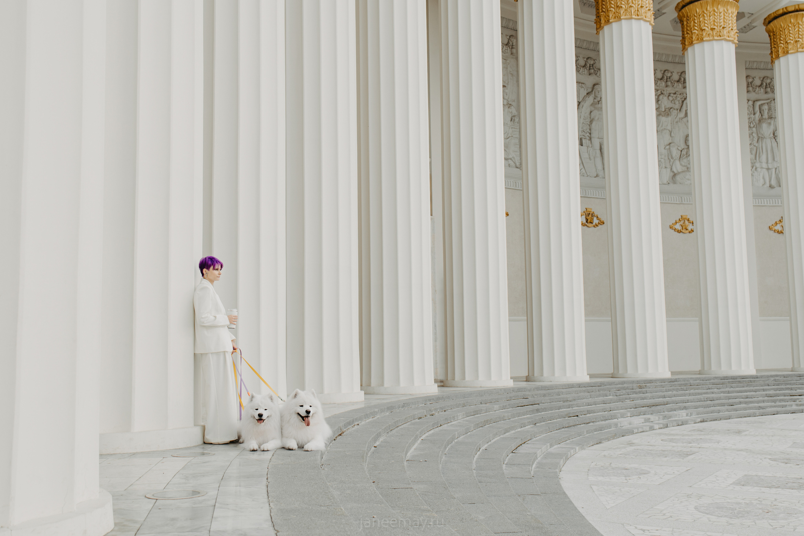 Дана, Никос, Теди и Люкс. Фотограф анималист в Москве Майорова Евгения