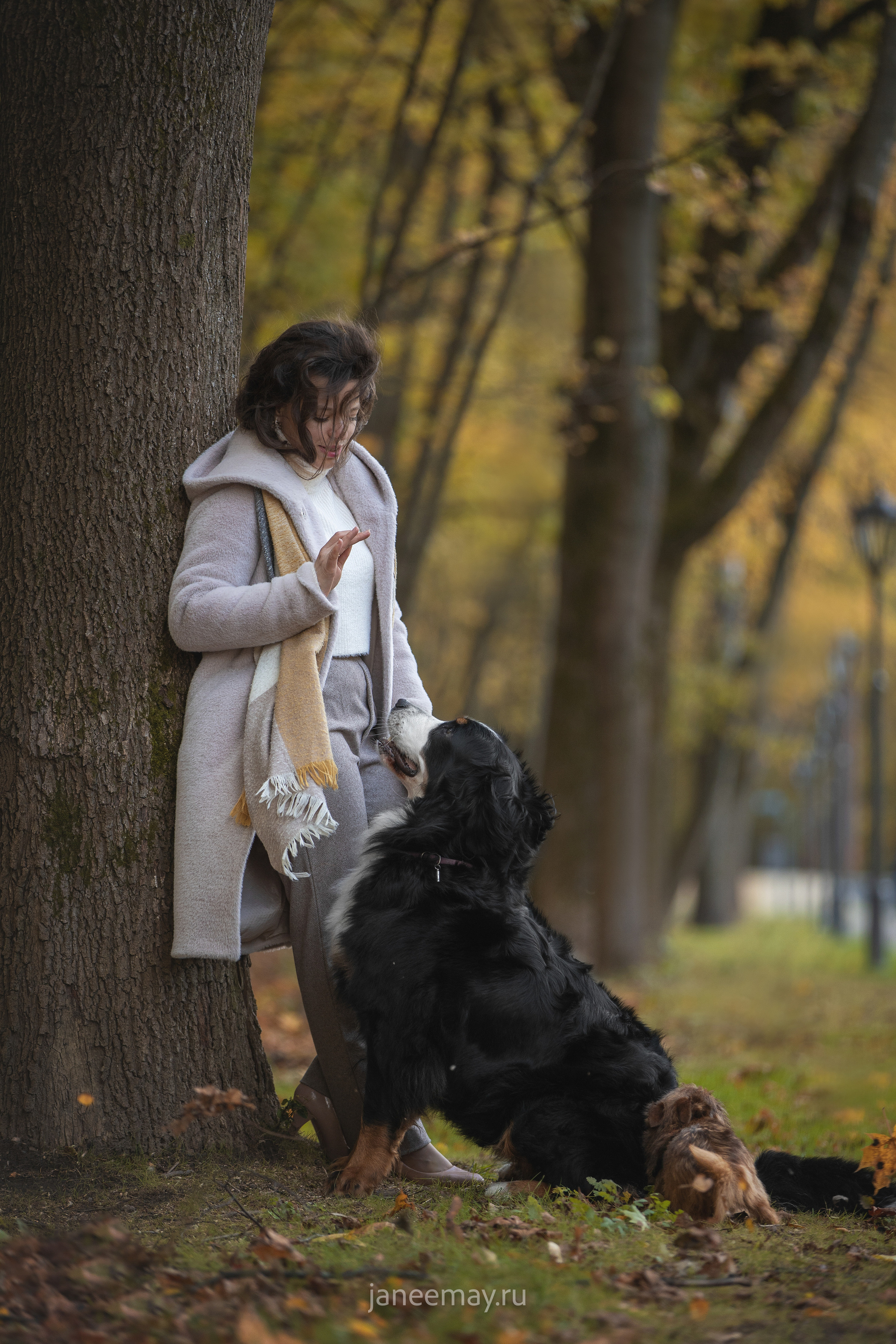 Ирина, Сергей и Твикси. Фотограф анималист в Москве Майорова Евгения