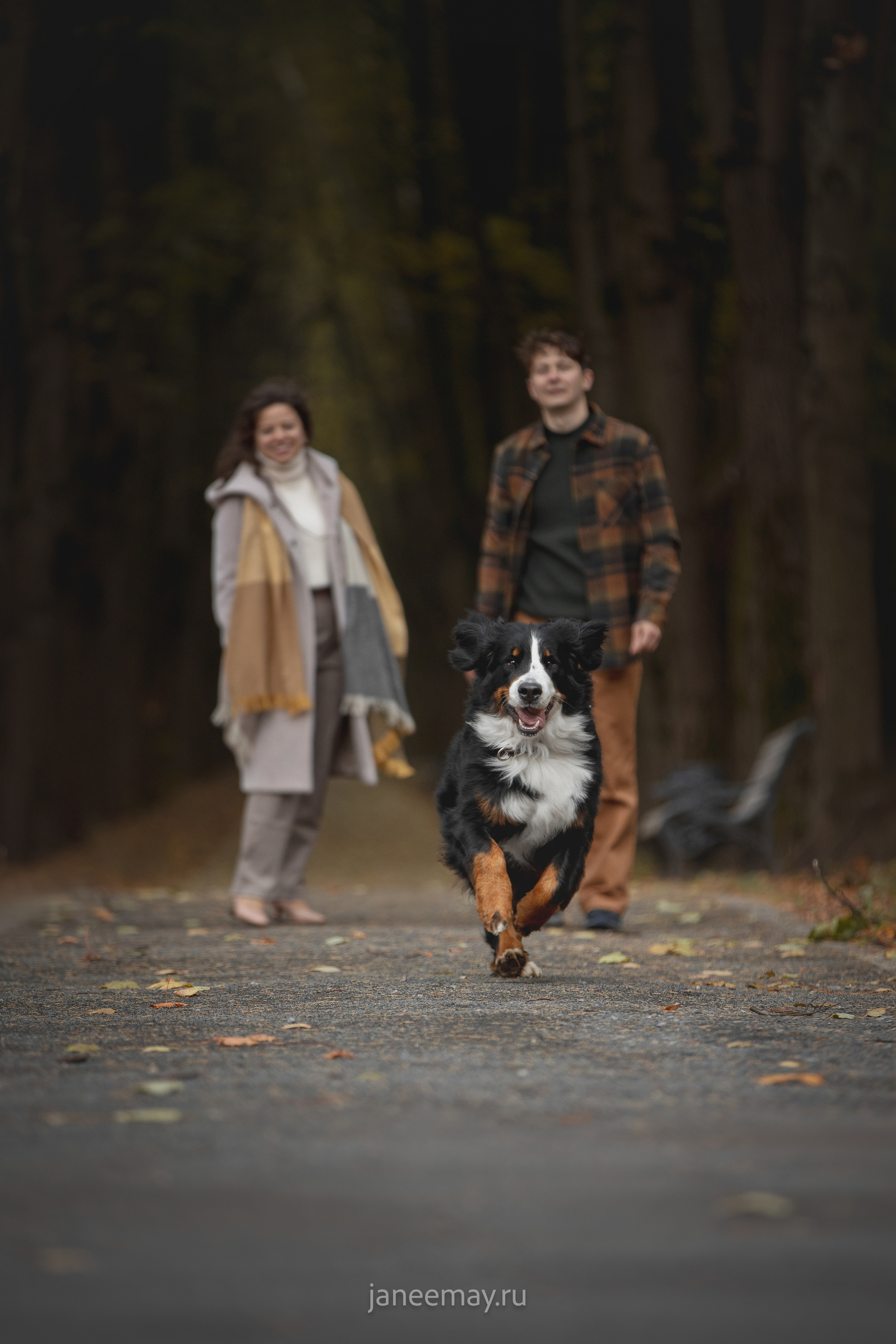 Ирина, Сергей и Твикси. Фотограф анималист в Москве Майорова Евгения