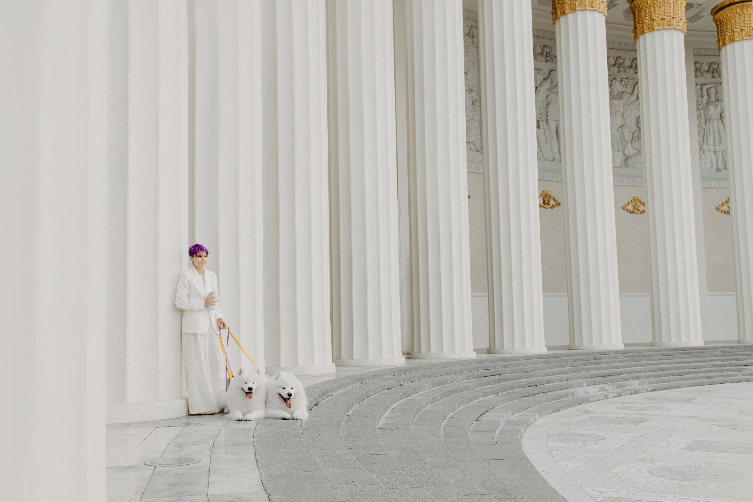 Дана, Никос, Теди и Люкс. Фотограф анималист в Москве Майорова Евгения