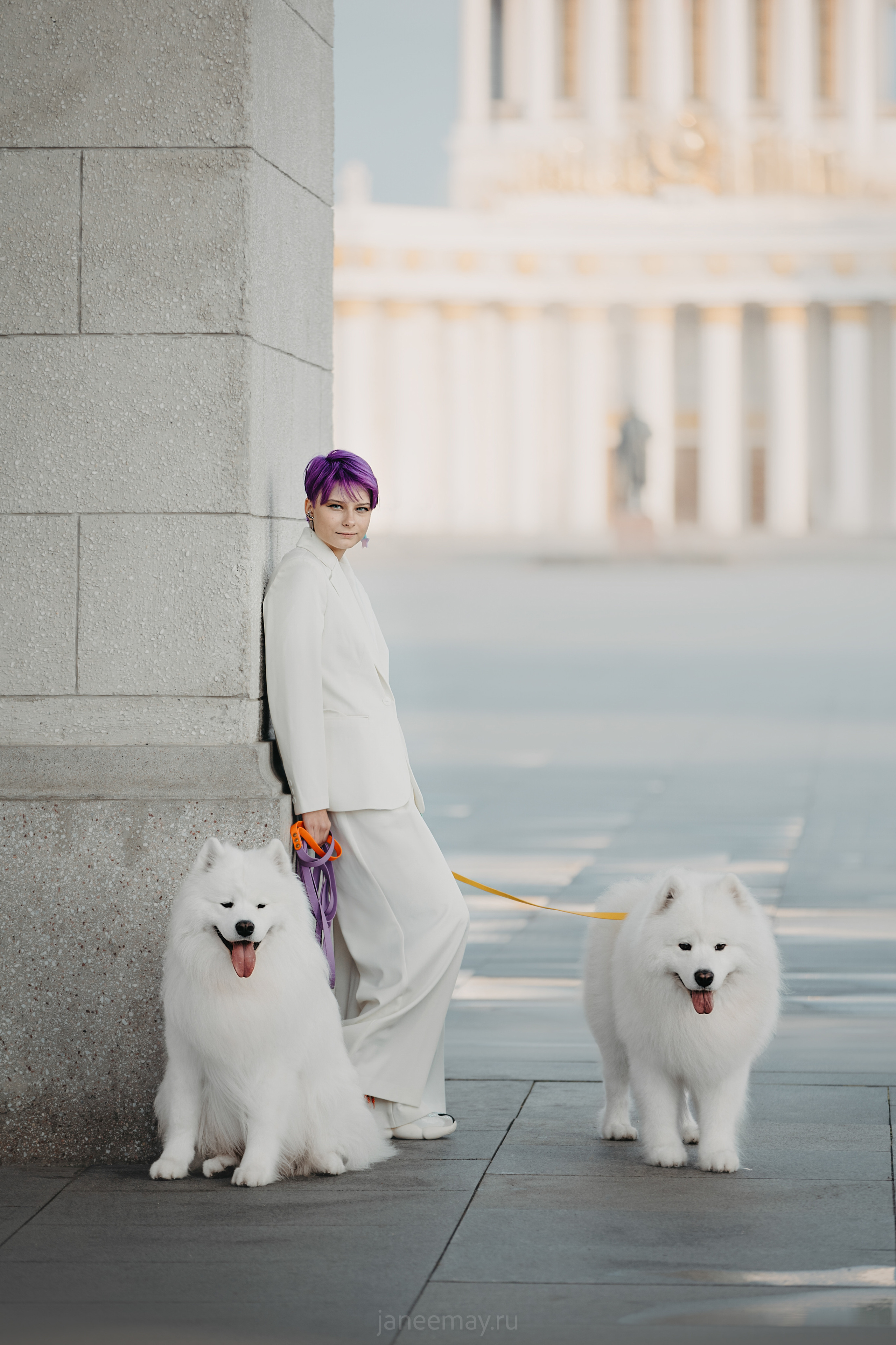 Дана, Никос, Теди и Люкс. Фотограф анималист в Москве Майорова Евгения