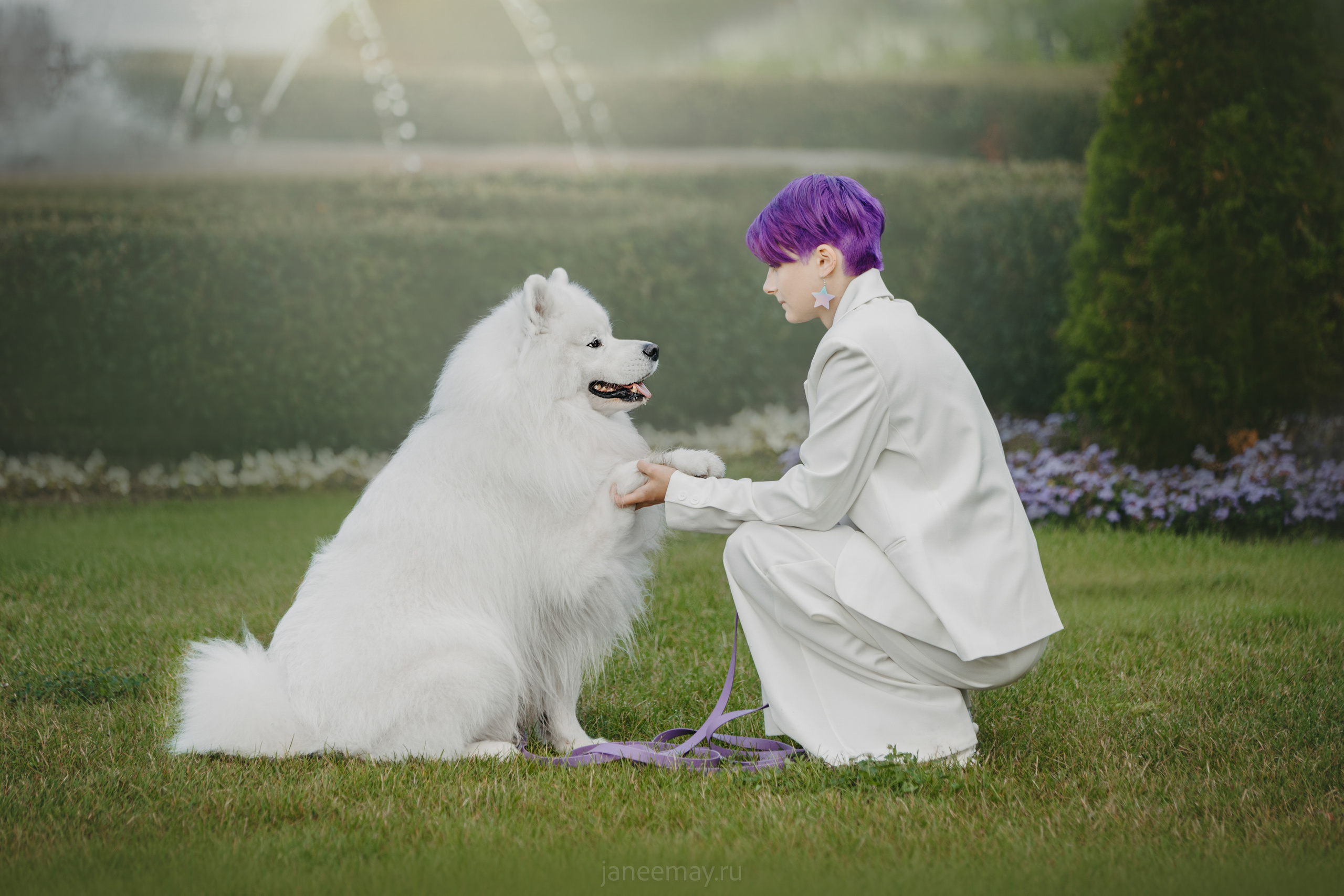 Дана, Никос, Теди и Люкс. Фотограф анималист в Москве Майорова Евгения