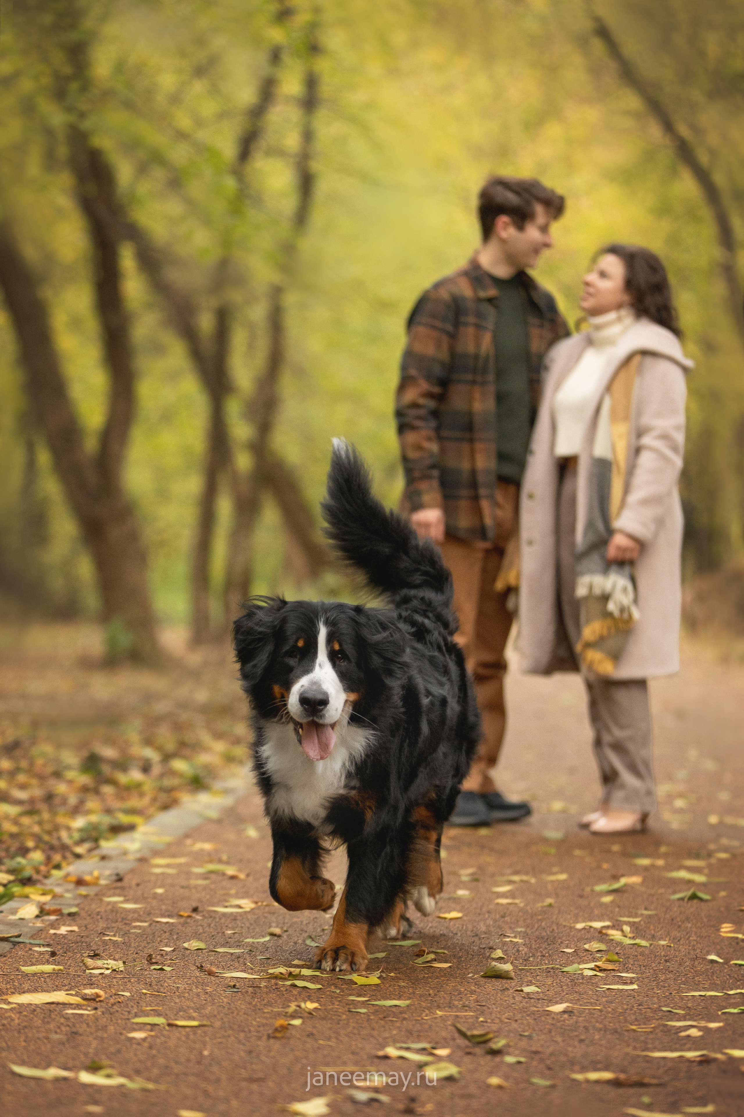 Ирина, Сергей и Твикси. Фотограф анималист в Москве Майорова Евгения