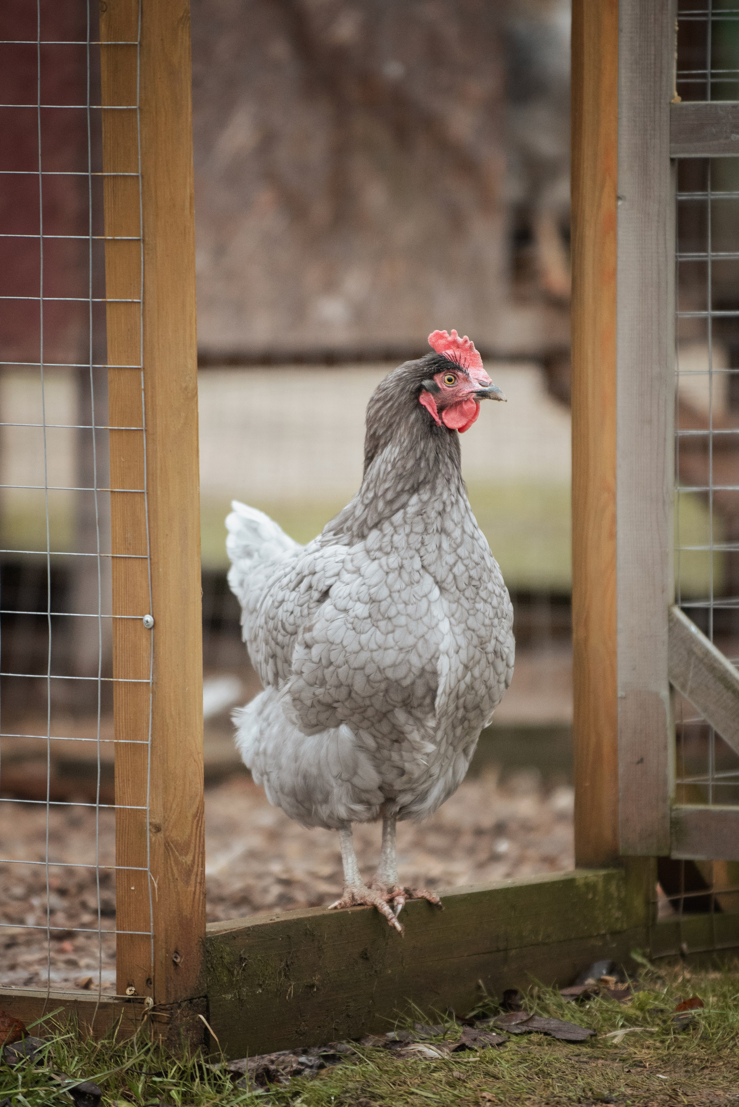 Мелкаши ЮНА. Куракина Дарья • Конный фотограф