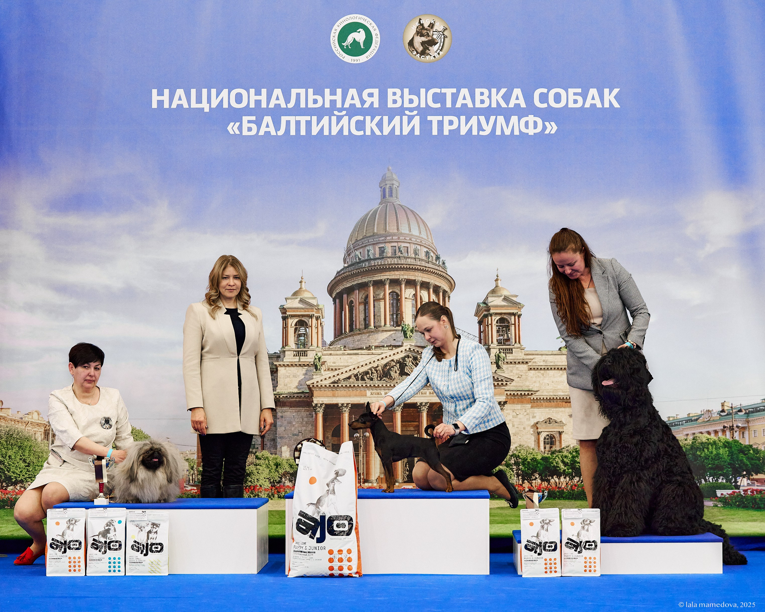 22-23 FEB 2025 | NATIONAL DOG SHOW «BALTIC TRIUMPH-2025»