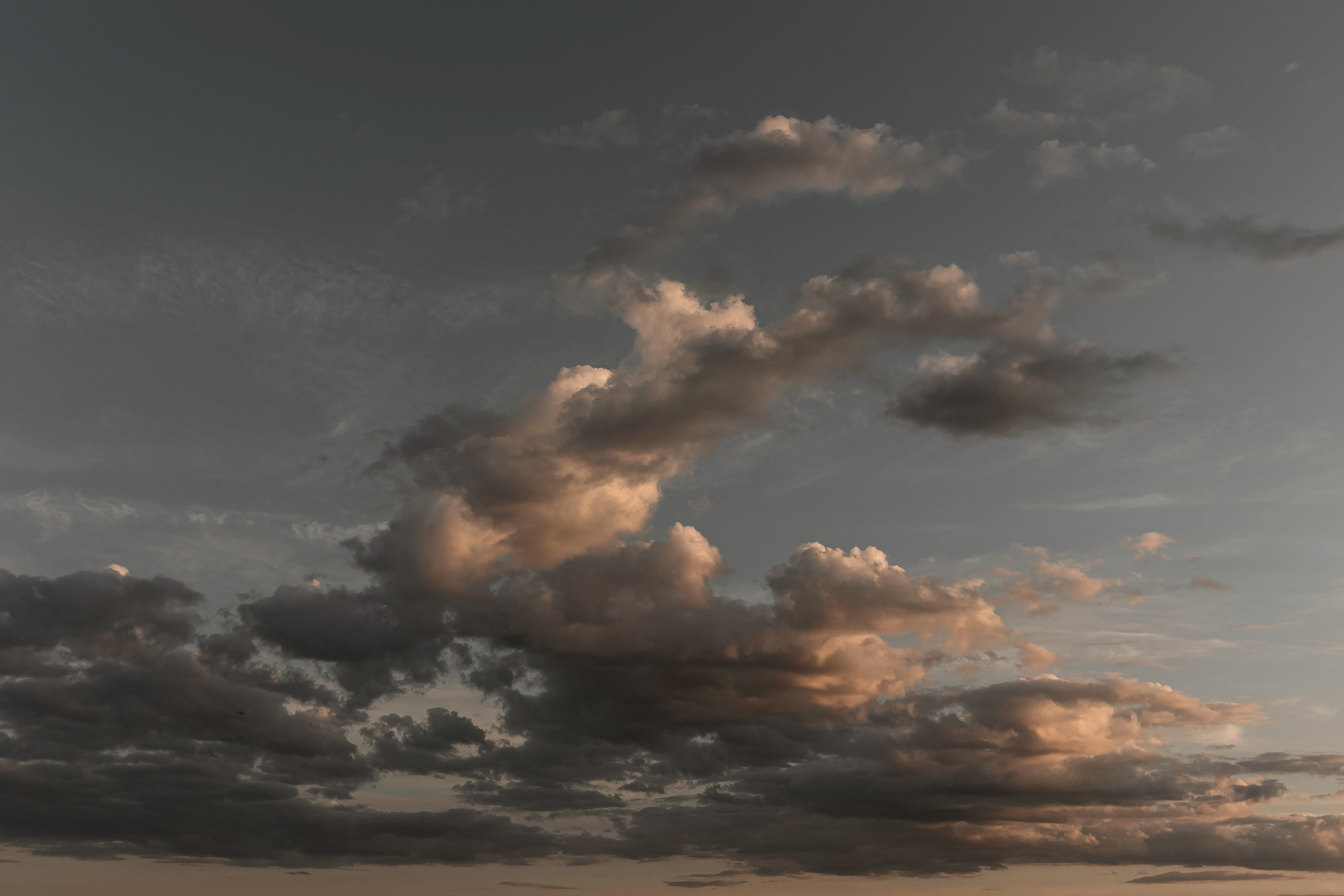 Наша собственная пустыня. Свадебный фотограф Колесников Антон