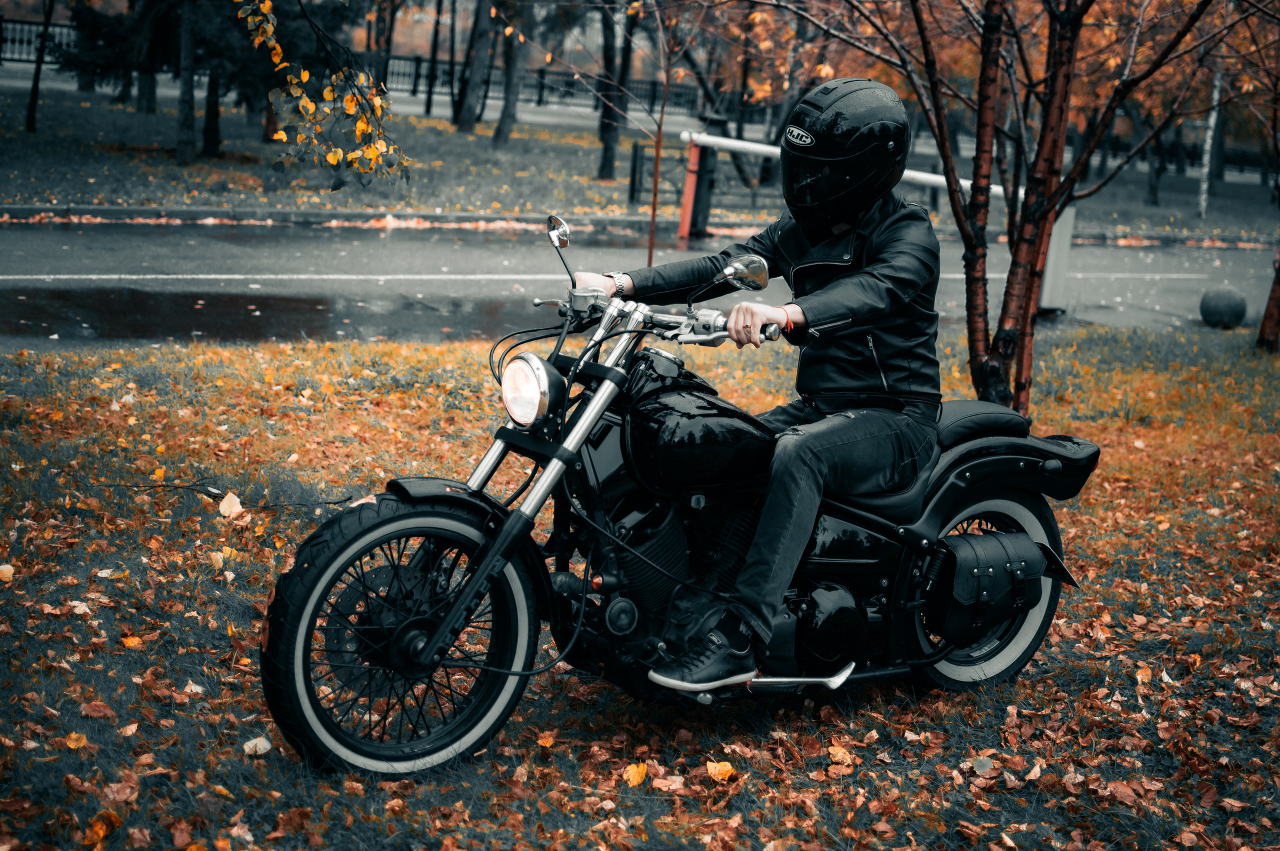 Последние дни осени. G G L V D M T R | Фотограф в Красноярске