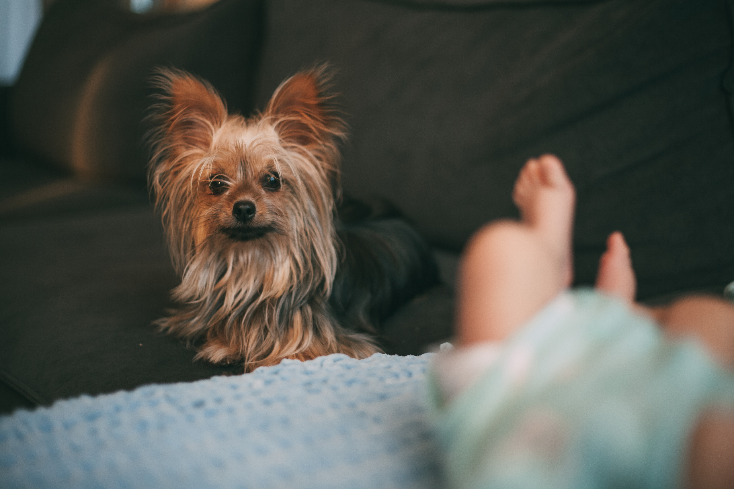 Артем, Вероника и Алисия. Семейный и свадебный фотограф в Ижевске Лушникова Екатерина