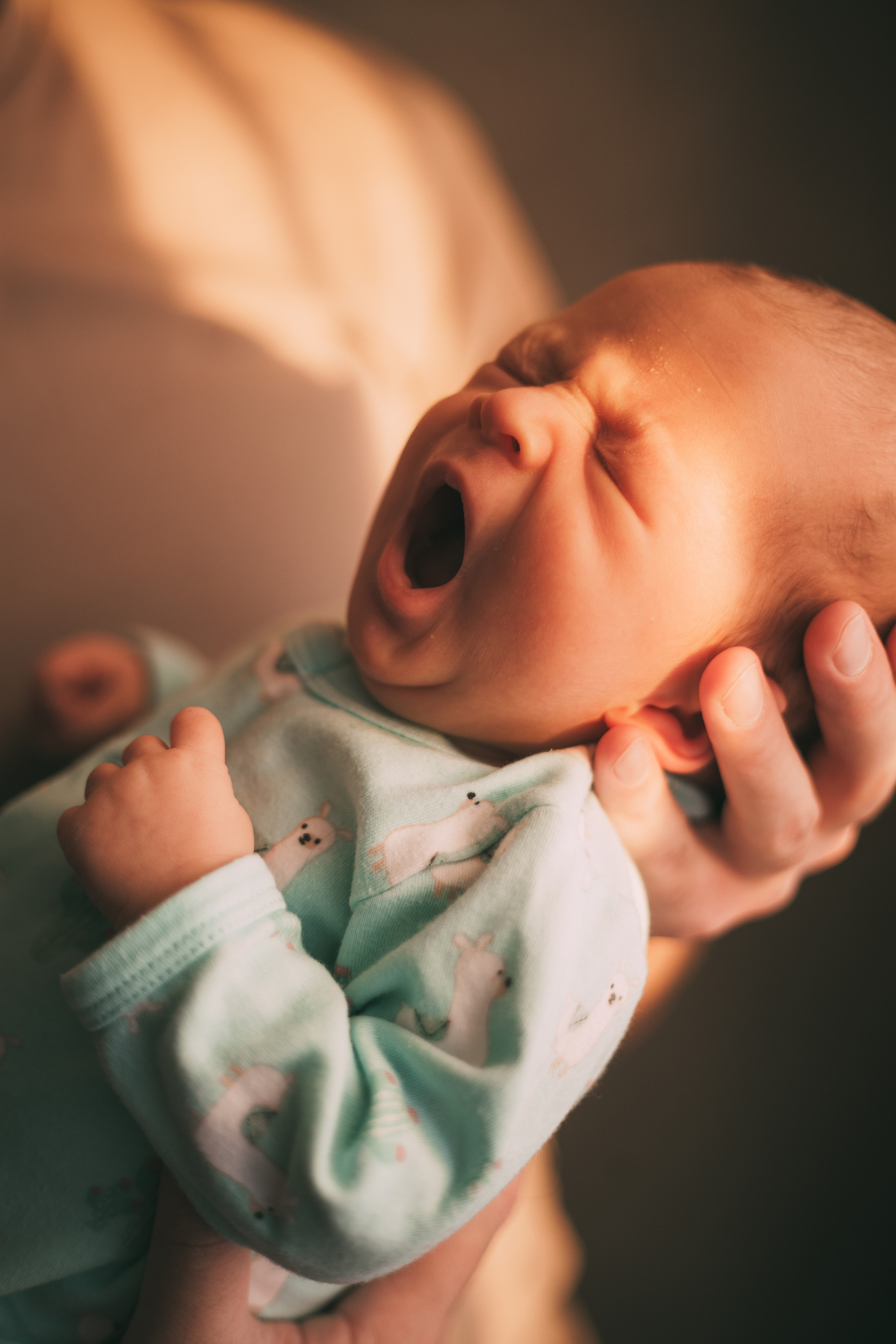Артем, Вероника и Алисия. Семейный и свадебный фотограф в Ижевске Лушникова Екатерина