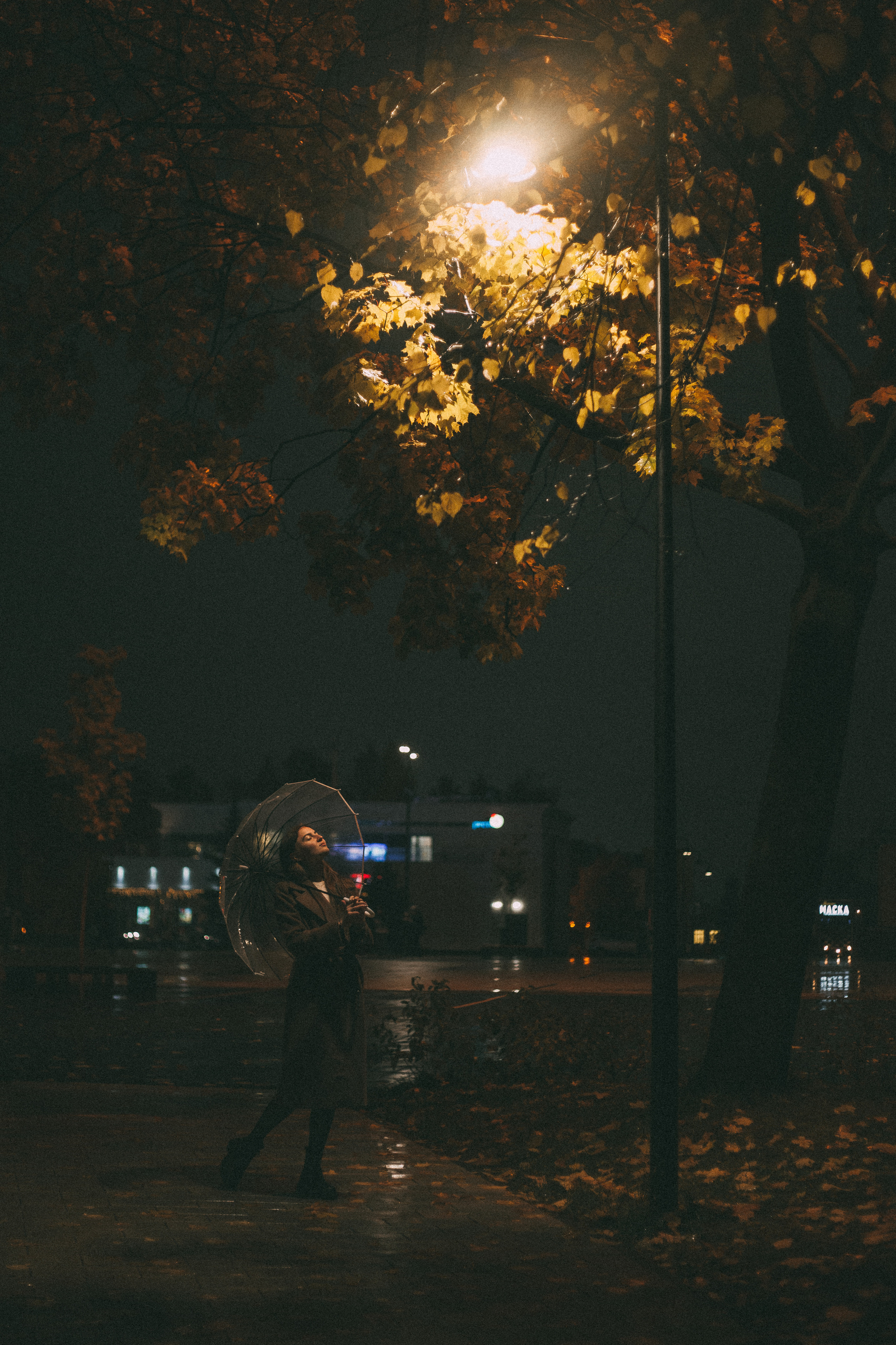 Екатерина. Семейный и свадебный фотограф в Ижевске Лушникова Екатерина