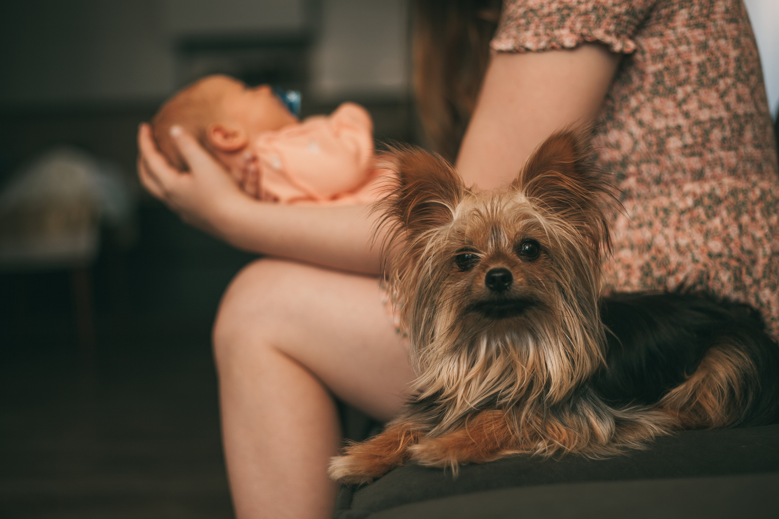 Артем, Вероника и Алисия. Семейный и свадебный фотограф в Ижевске Лушникова Екатерина
