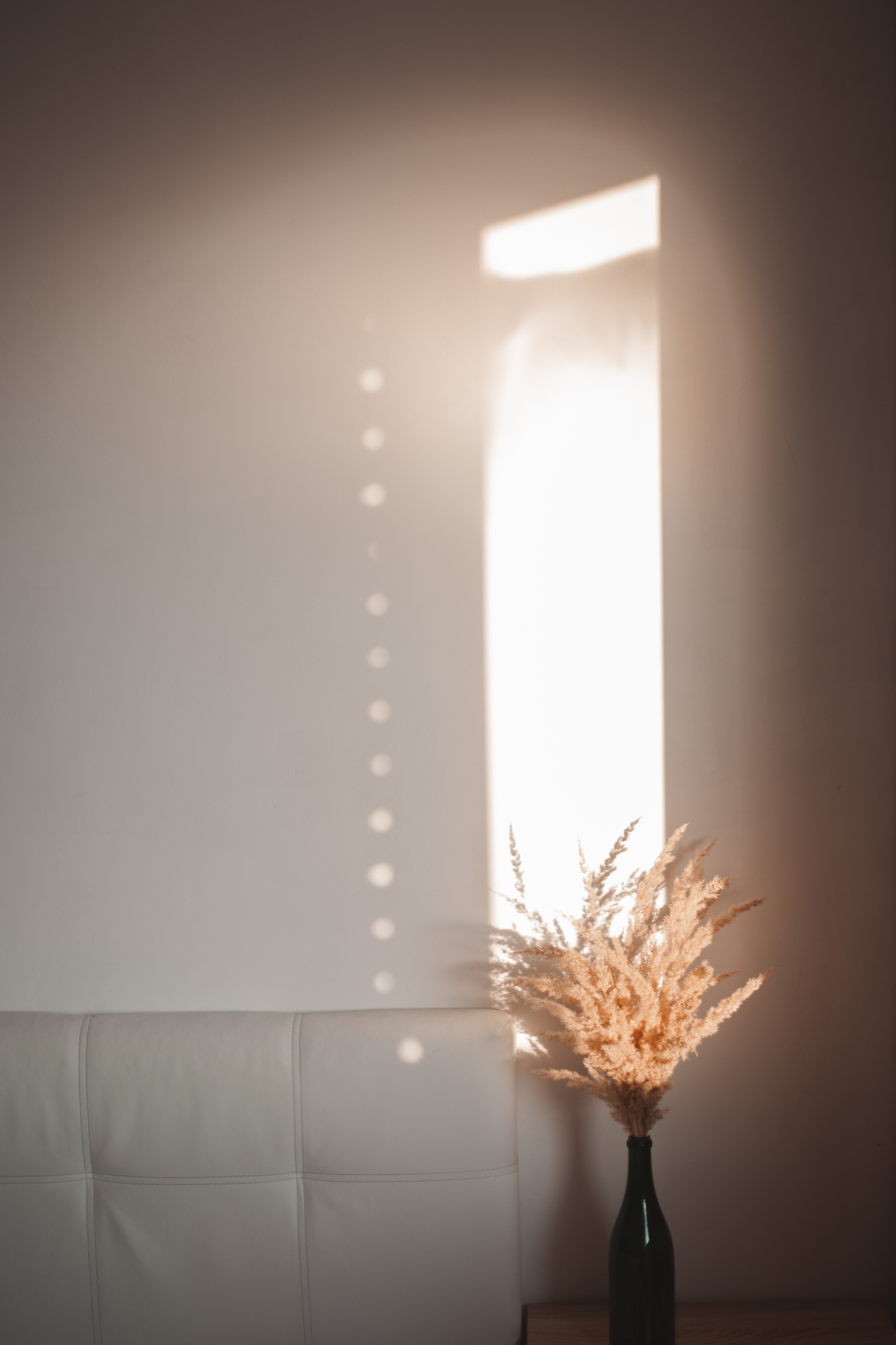 Вероника. Семейный и свадебный фотограф в Ижевске Лушникова Екатерина