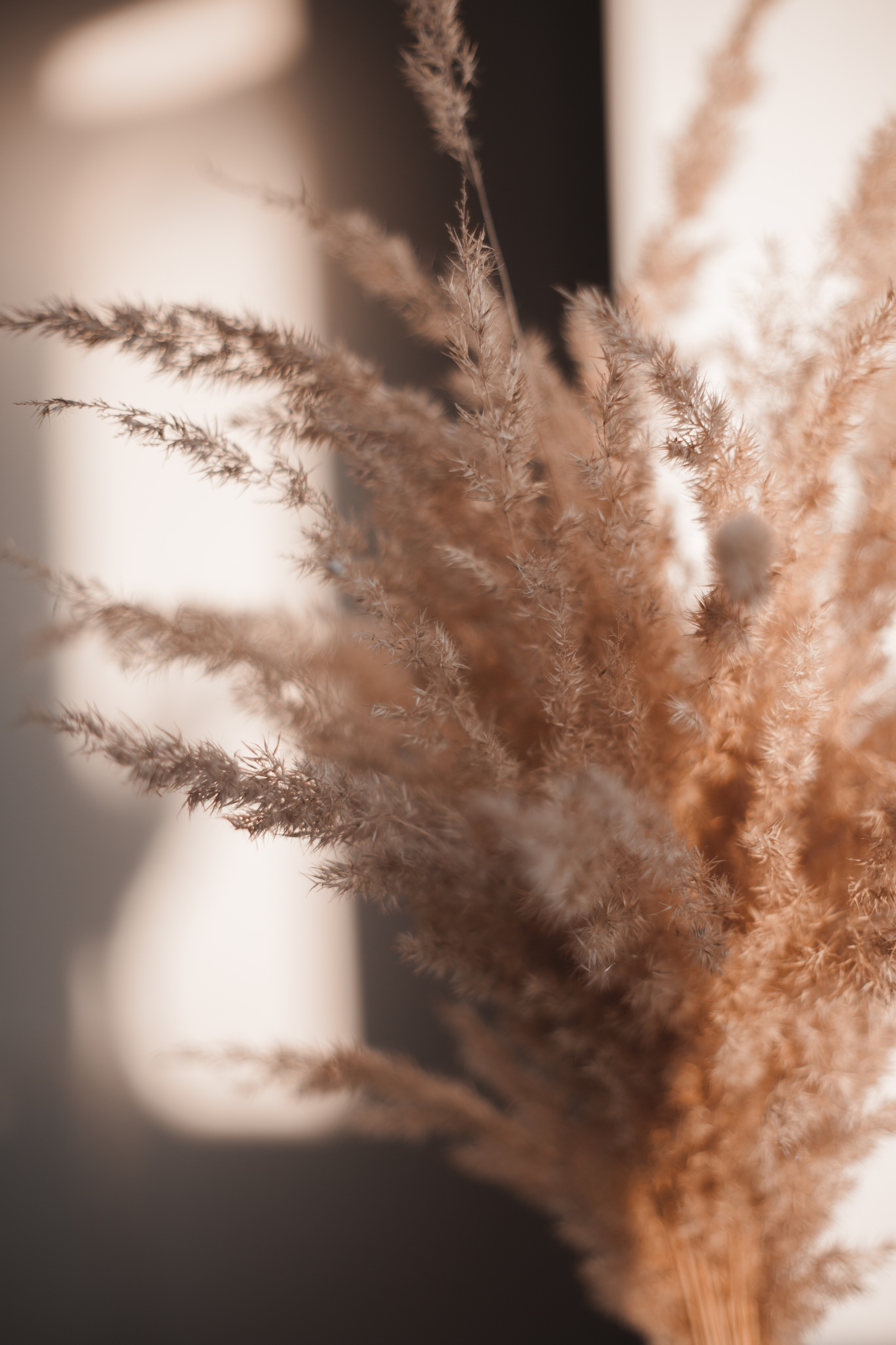 Вероника. Семейный и свадебный фотограф в Ижевске Лушникова Екатерина