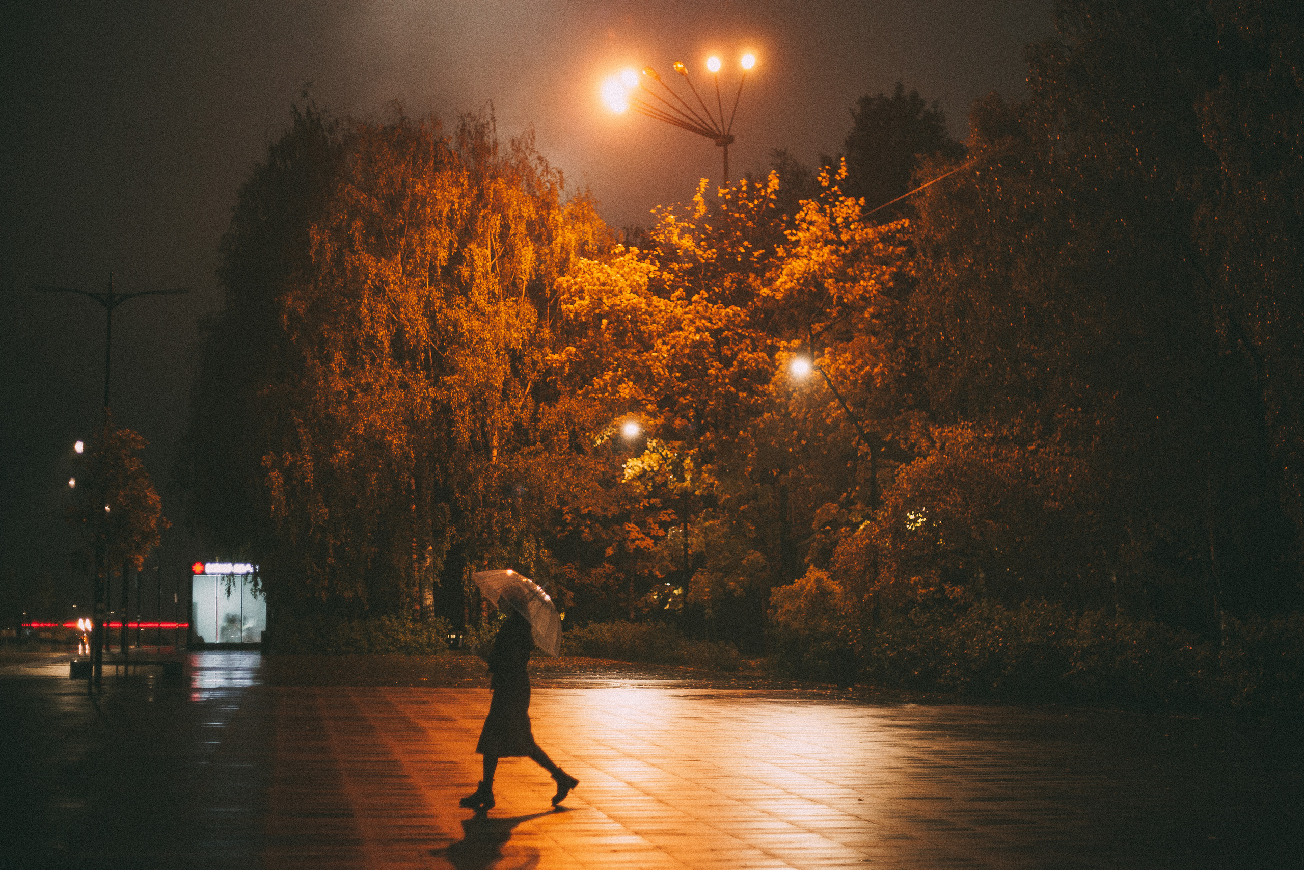 Екатерина. Семейный и свадебный фотограф в Ижевске Лушникова Екатерина