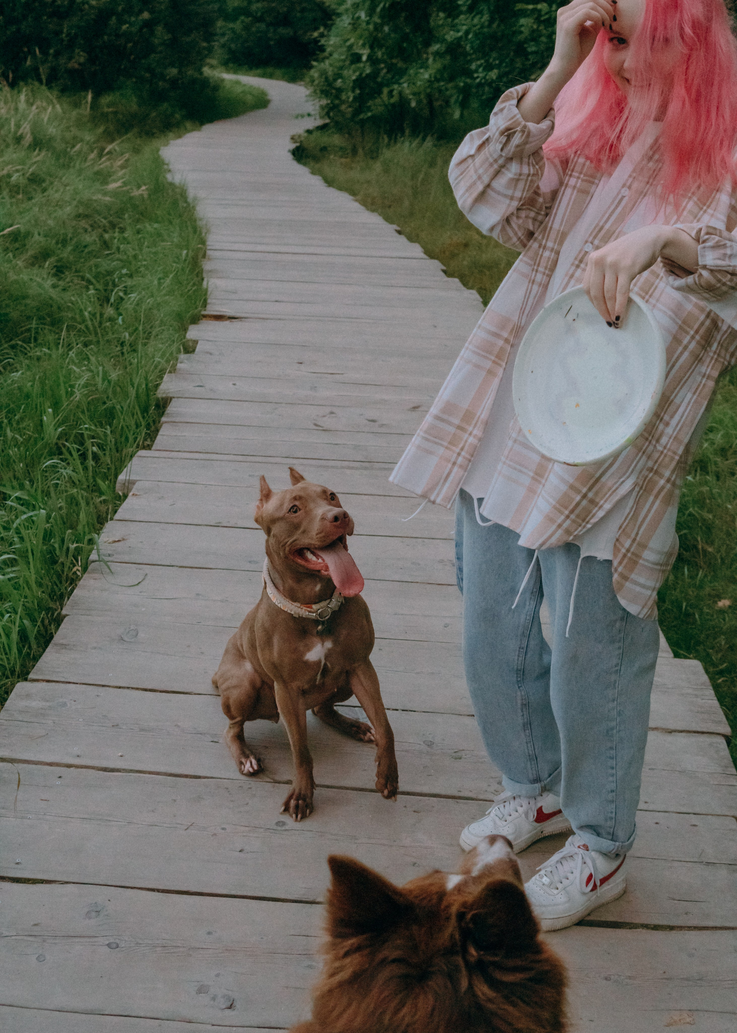 Виолетта, Лила и Питер. Фотограф-анималист Ксения Воробьева, Москва