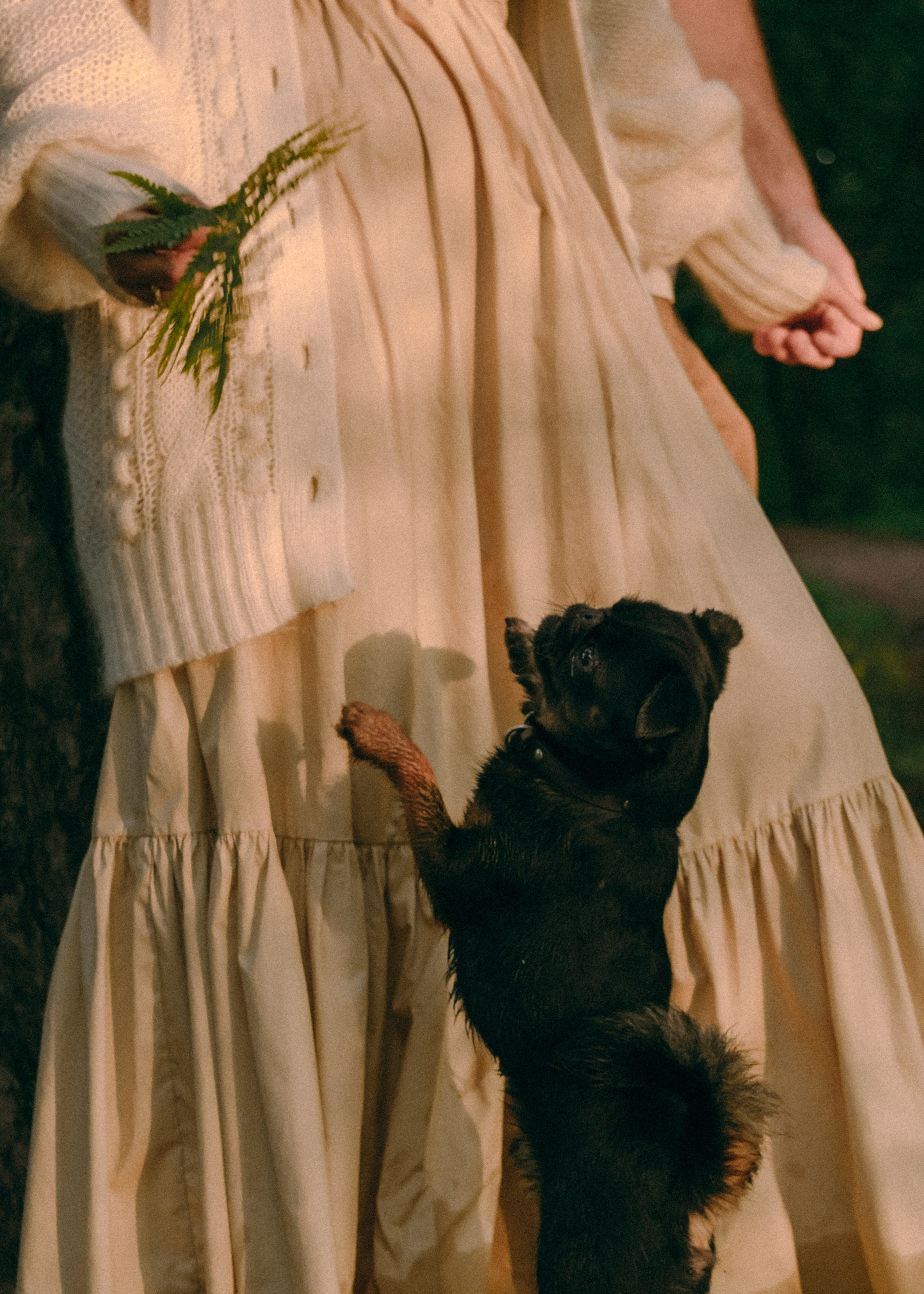 Оксана, Кирилл и Кеша. Фотограф-анималист Ксения Воробьева, Москва