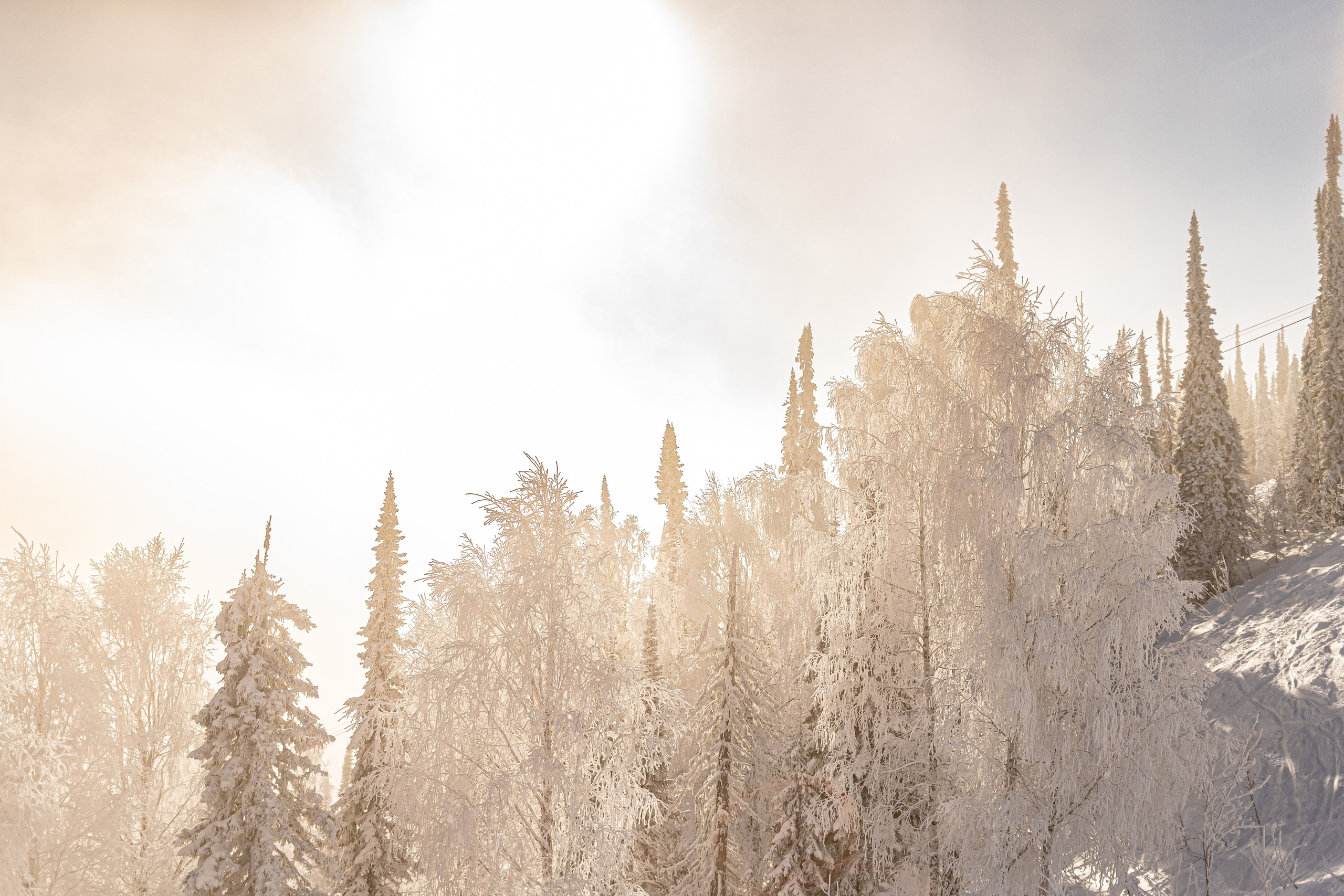 Джой 6.12. Анастасия Паршукова — фотограф Шерегеш Новосибирск