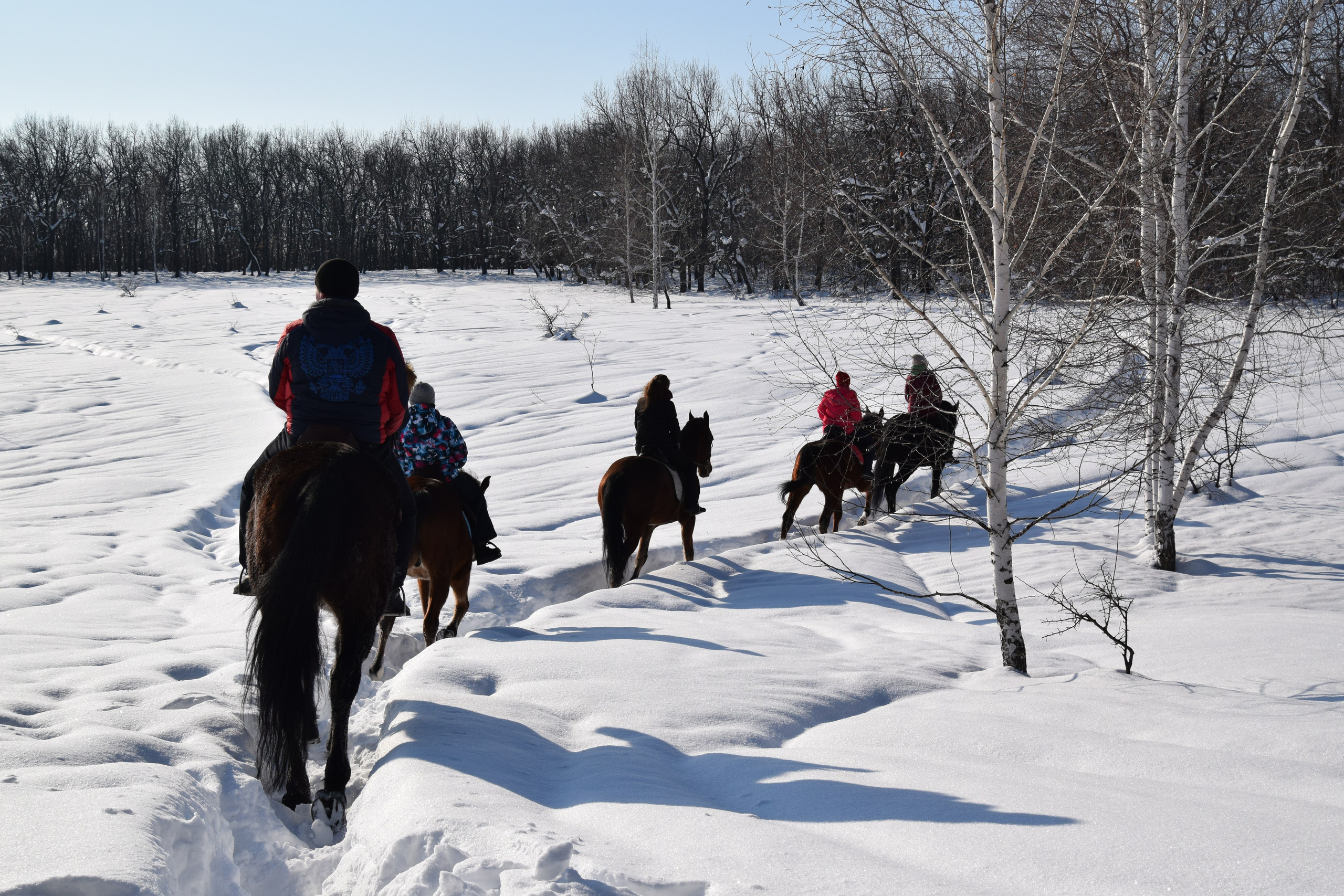 Конная прогулка. Конный фотограф в Саратове Юлия Иванова