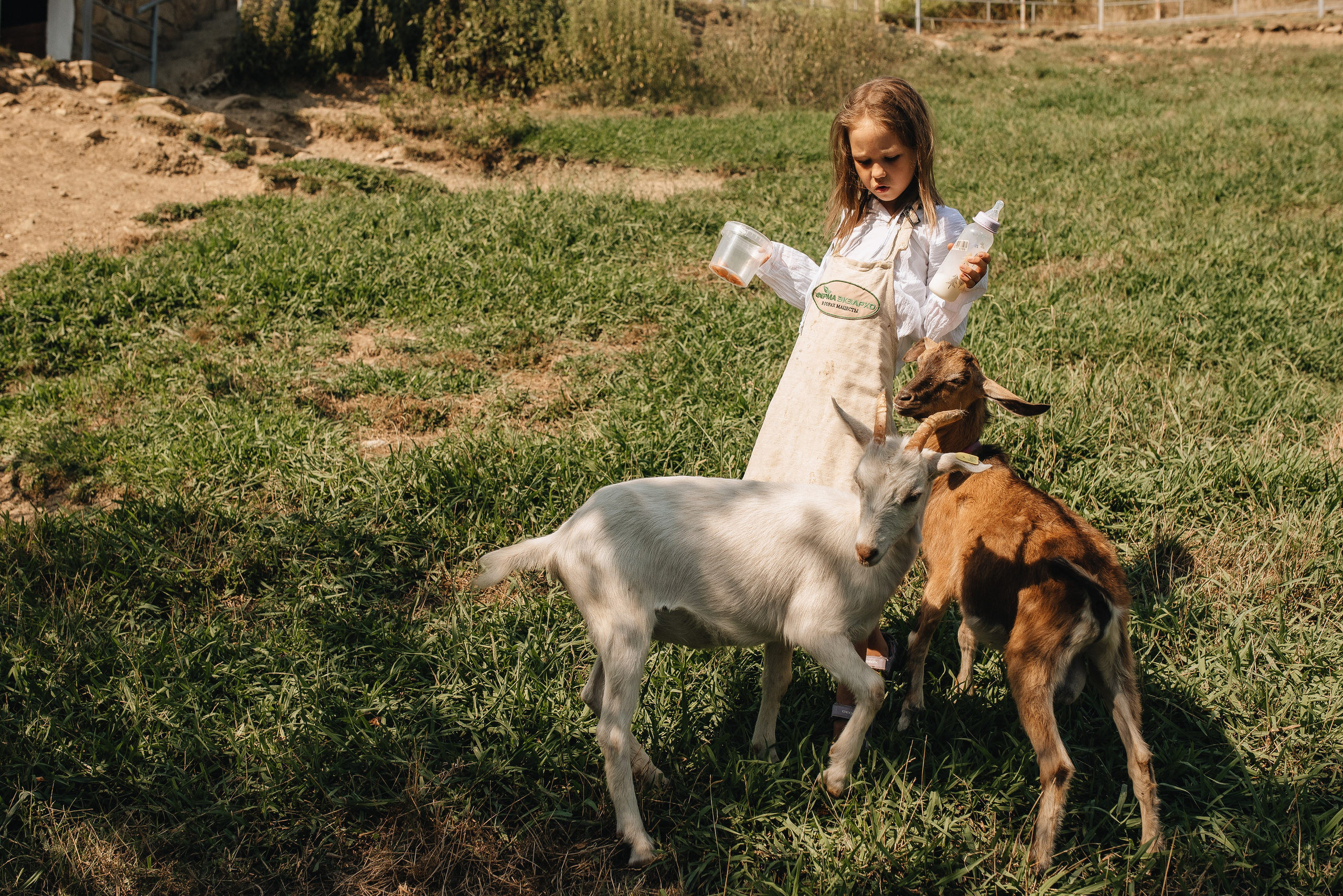 На ферме. Семейная фотосессия в Новосибирске от фотографа Ольги Коваль