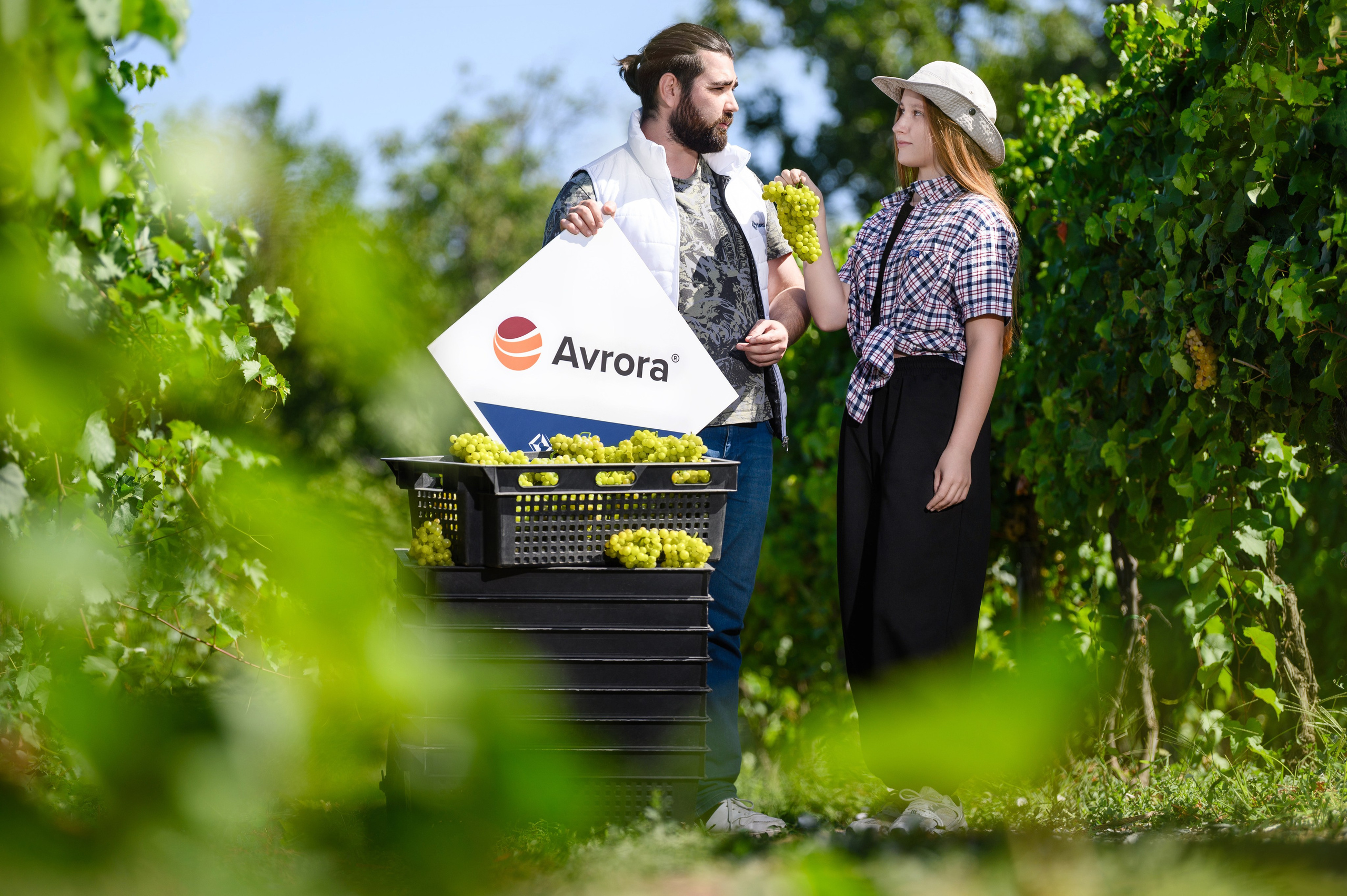 Проекты. Профессиональный фотограф Вячеслав Плацында | Липецк |