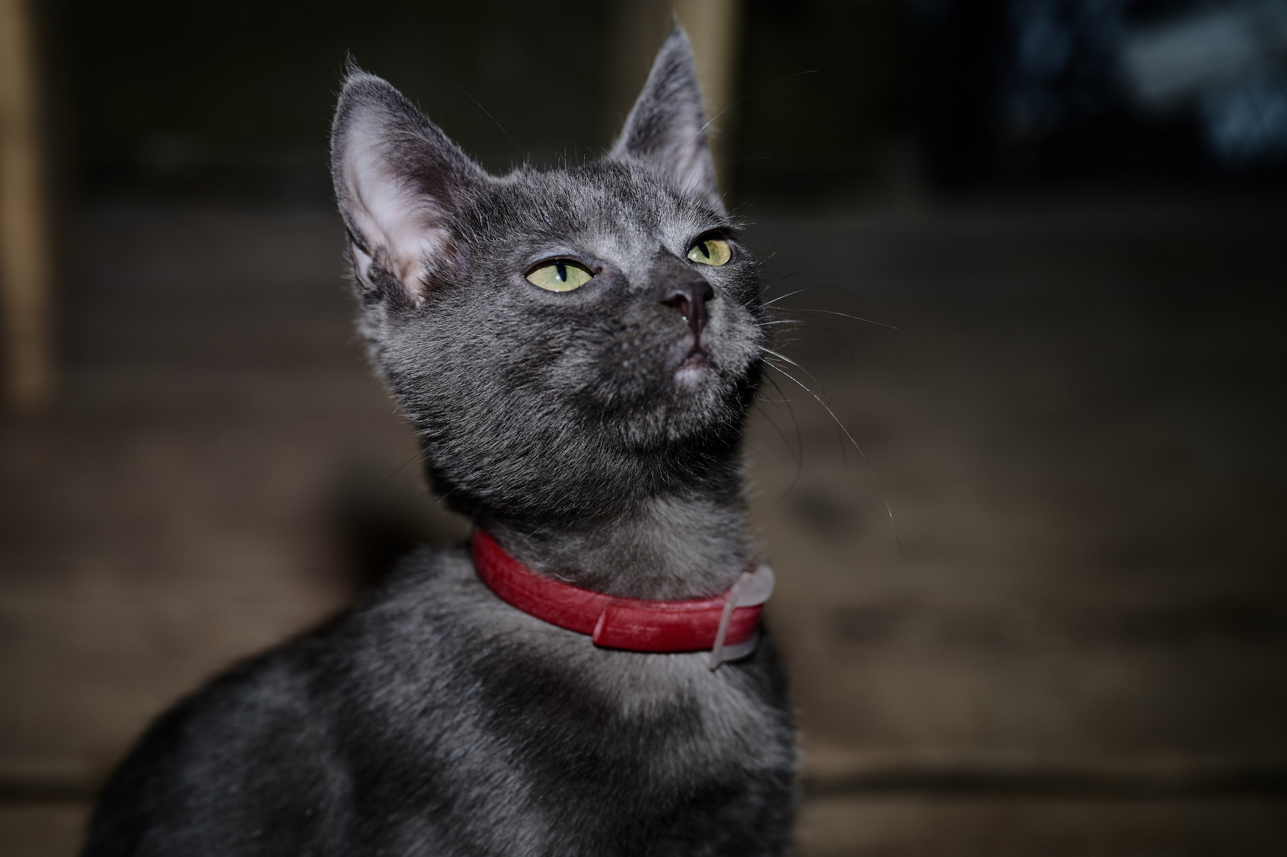 Фото для презентации фотопроекта «Территории». Фотопроект «Территории»