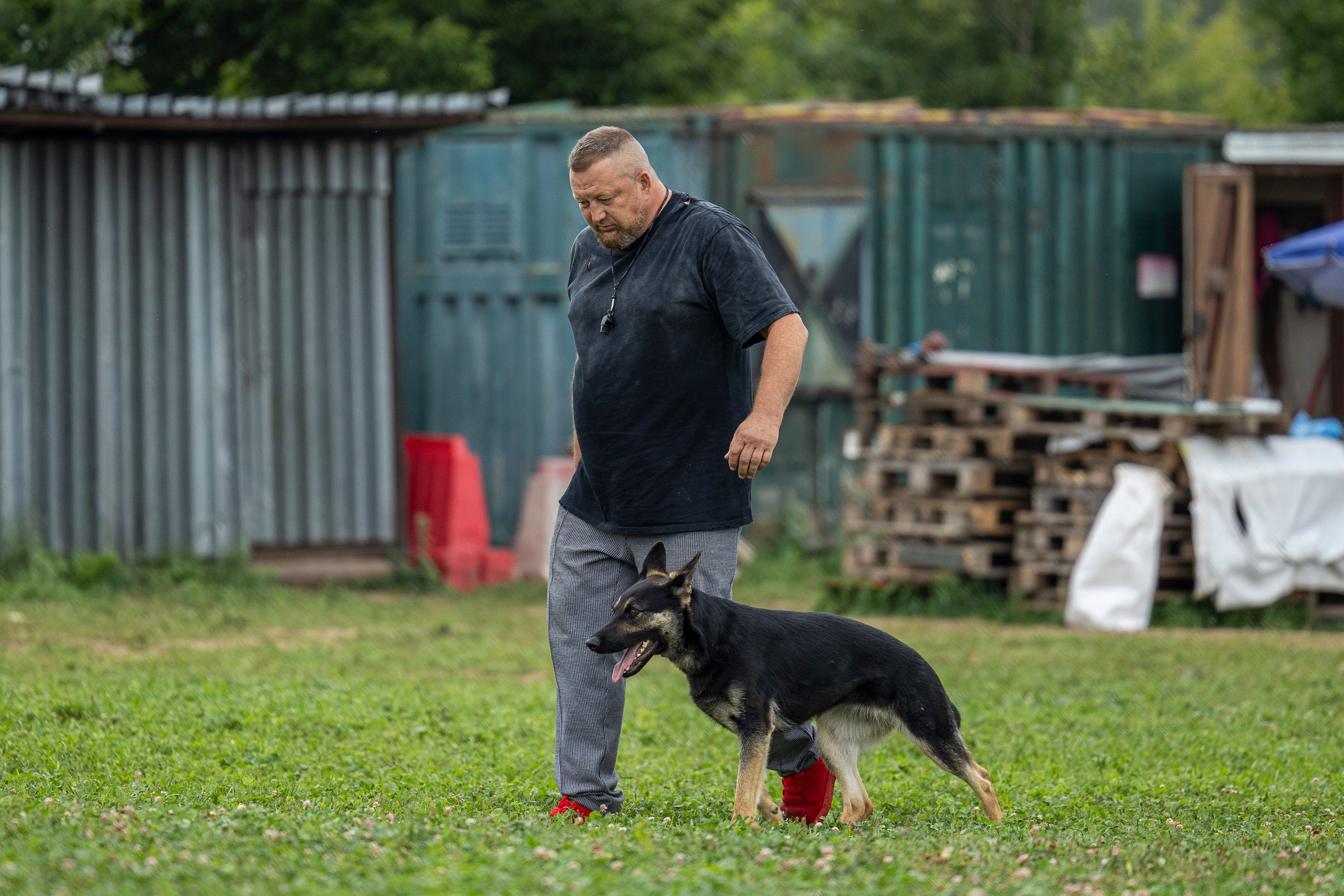 Соревнования по Мондьорингу г. Вологда 10-11.08.2024. Фотограф-анималист Анна Маринич