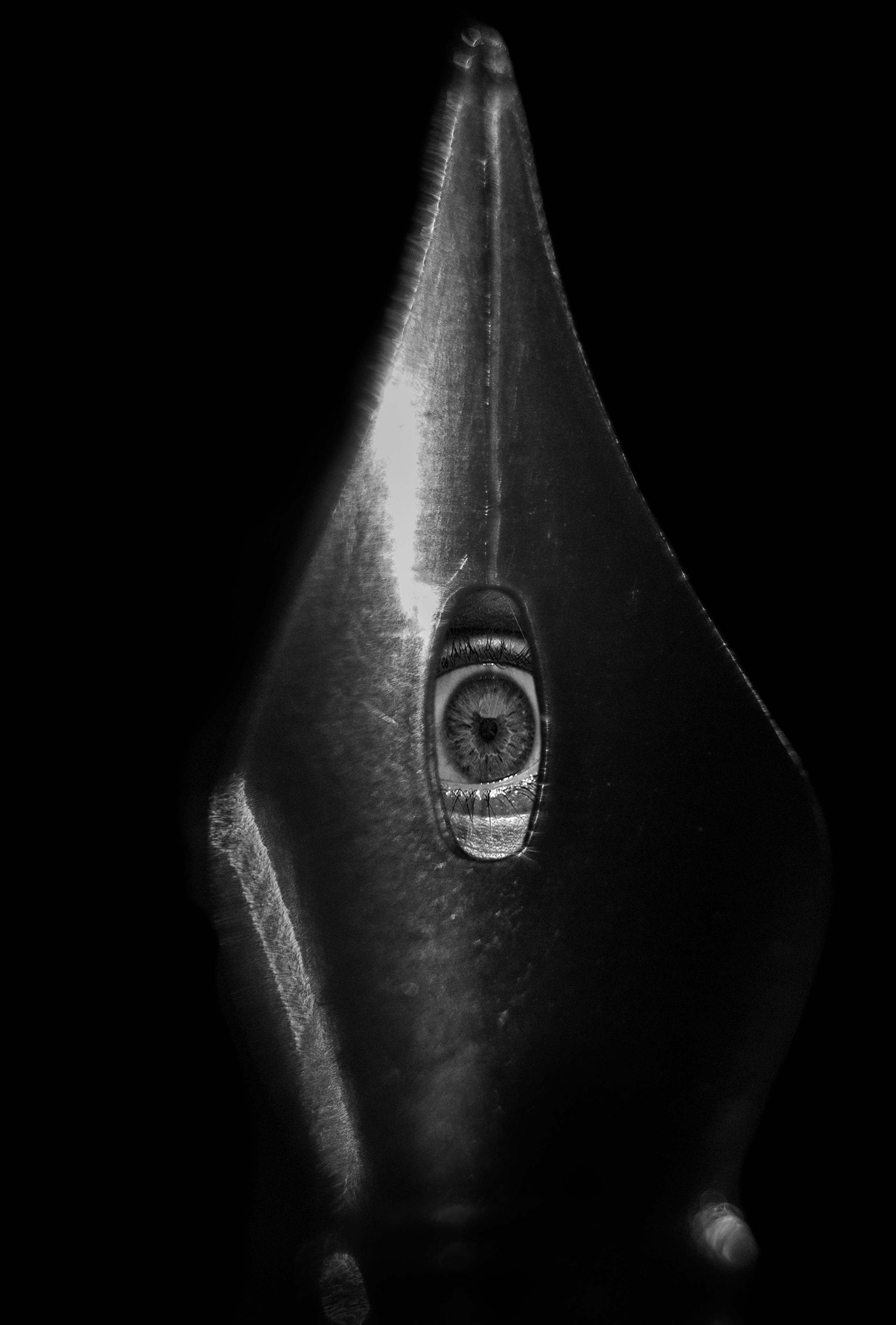 Георгий Тришаков