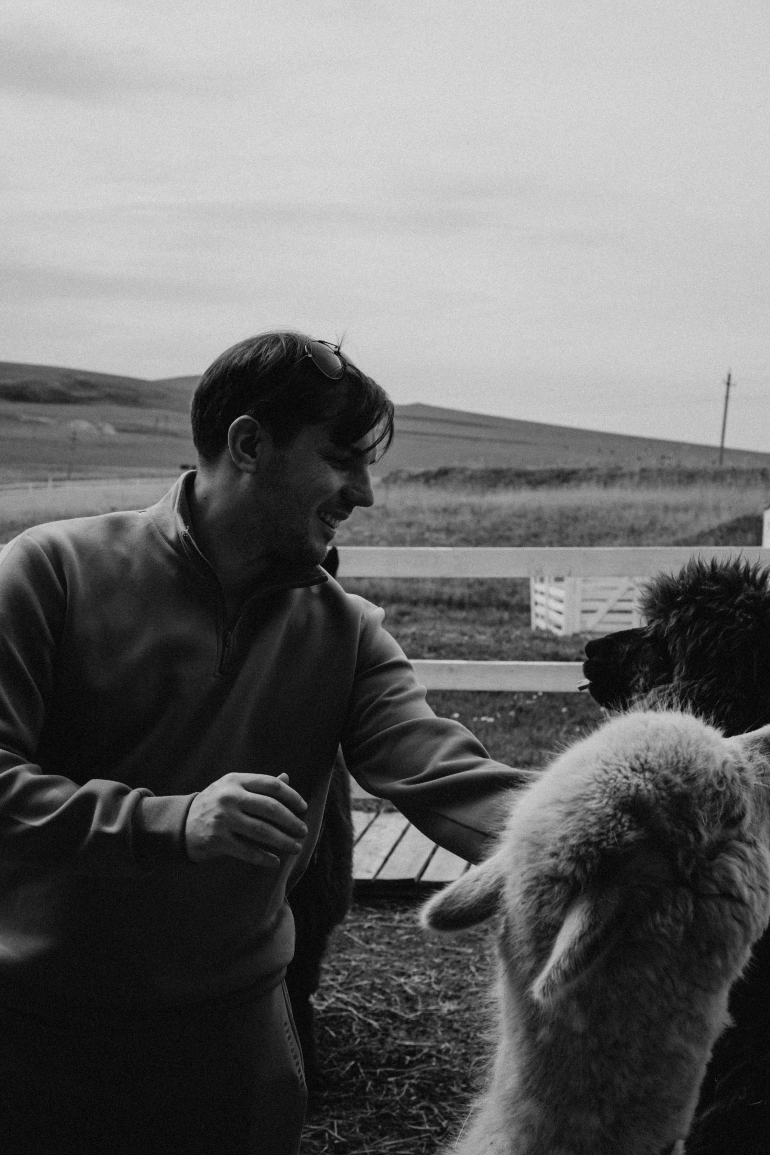 Ферма Альпак. Профессиональный фотограф, Санкт-Петербург — Виктория Богомолова