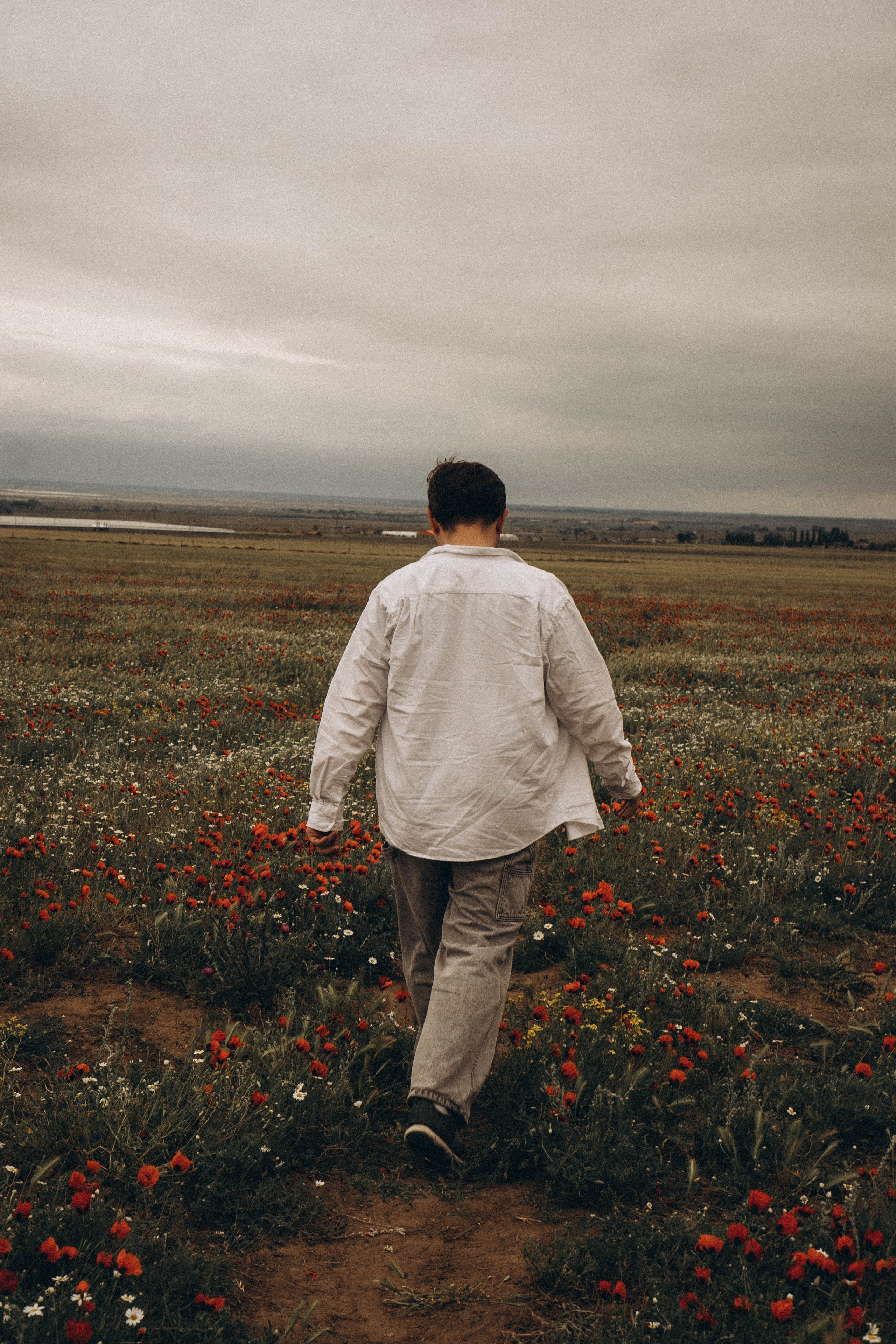 Маки. Профессиональный фотограф, Санкт-Петербург — Виктория Богомолова