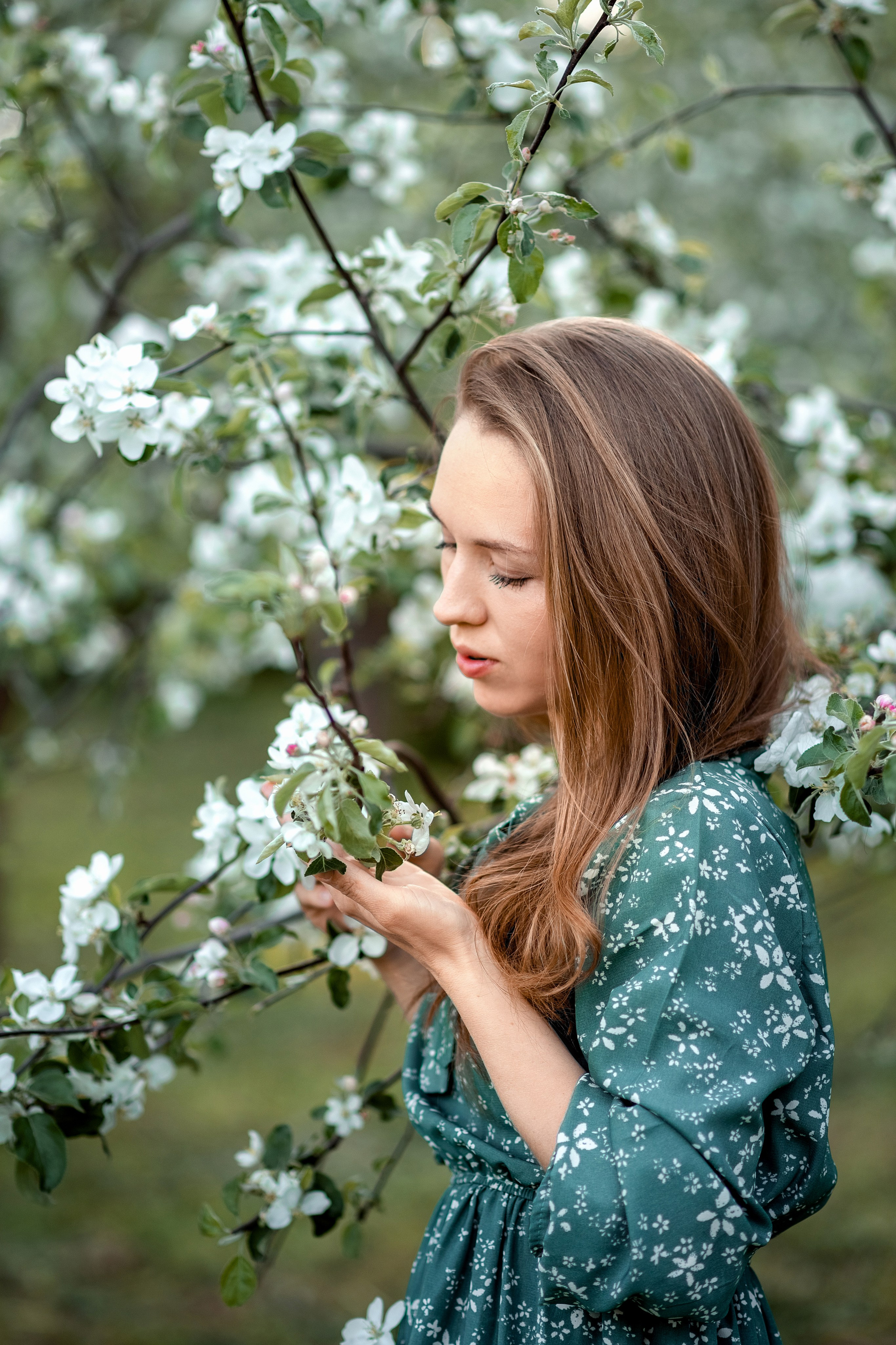 Семейная фотосессия в цветении. Ясная Поляна. Семейный и детский фотограф в Туле Светлана Воронкова