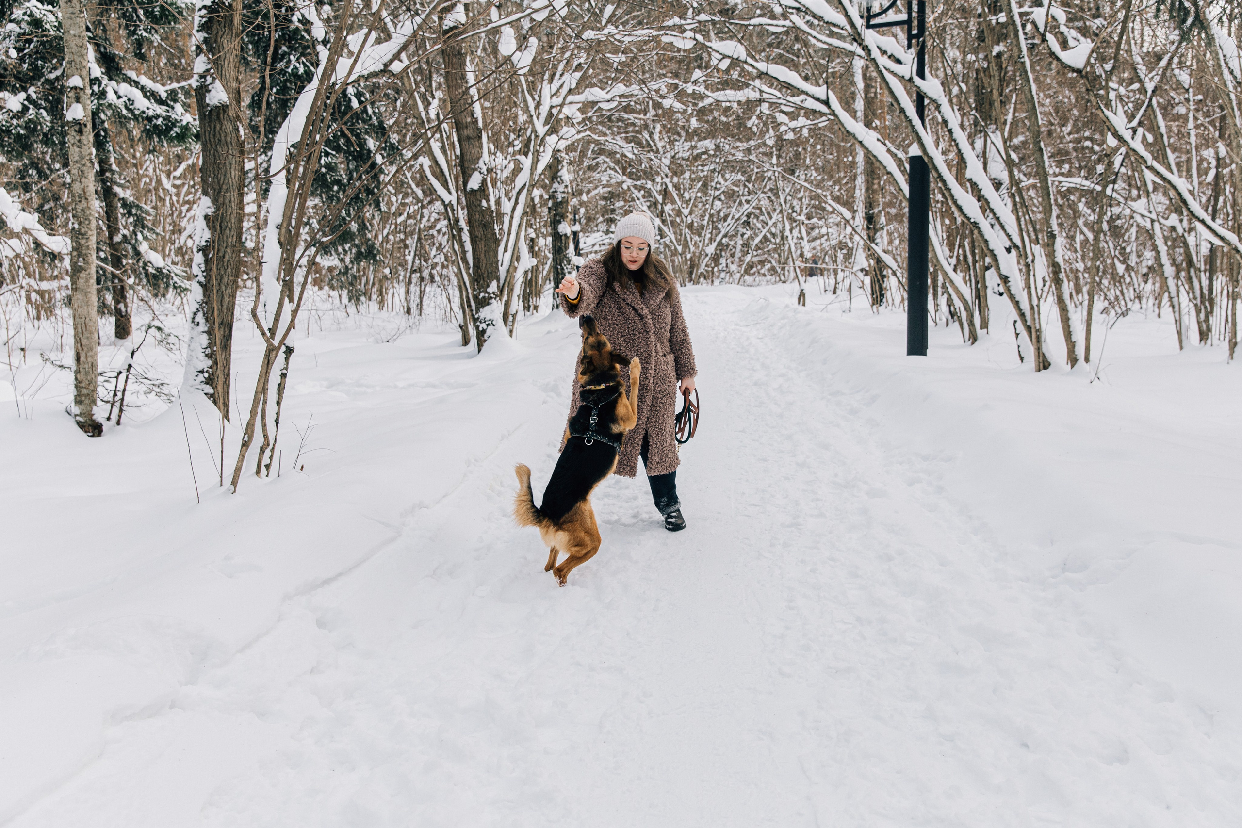 Саша и Ньют. Фотограф-анималист в Москве Соломонова Варвара