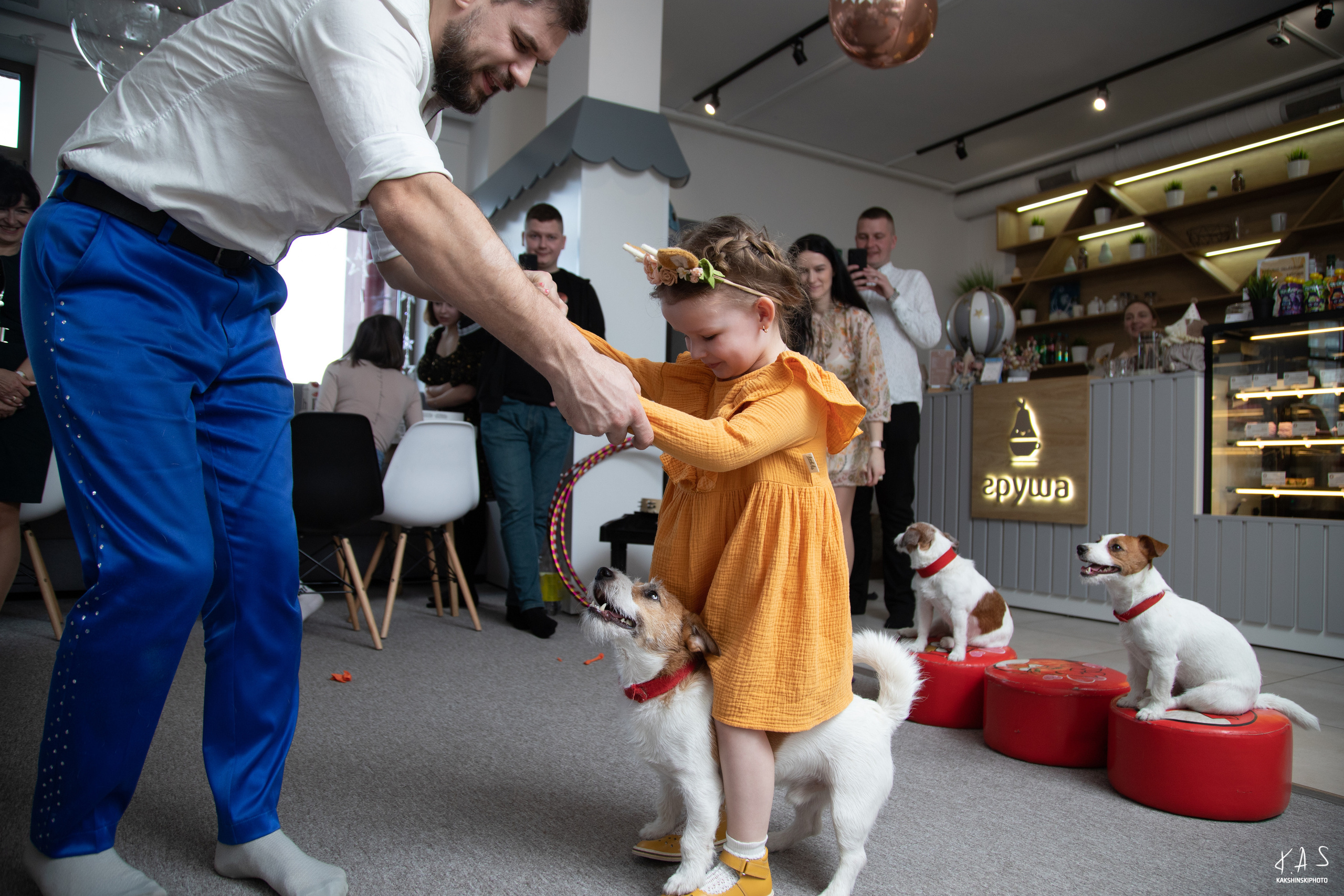 В гостях у Алисы. Фотография и видеосъёмка