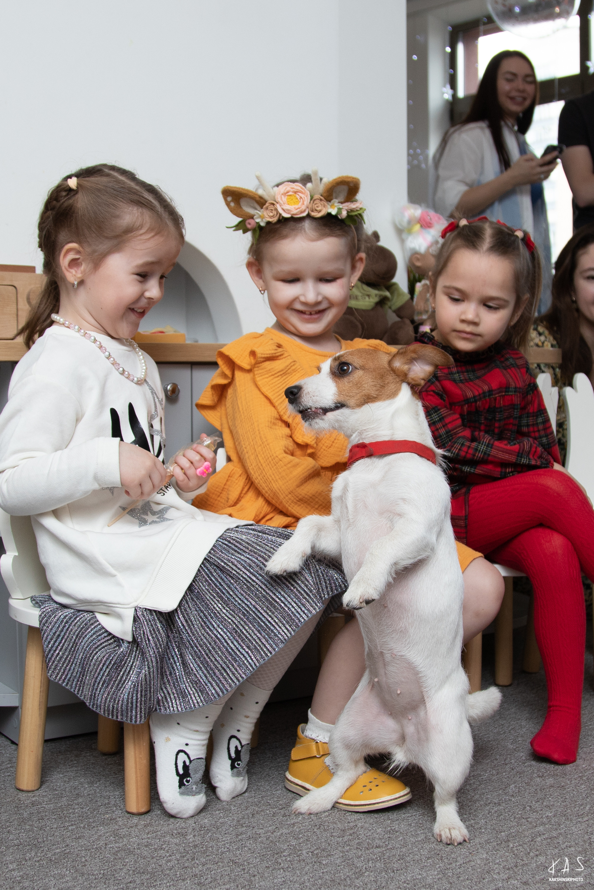 В гостях у Алисы. Фотография и видеосъёмка