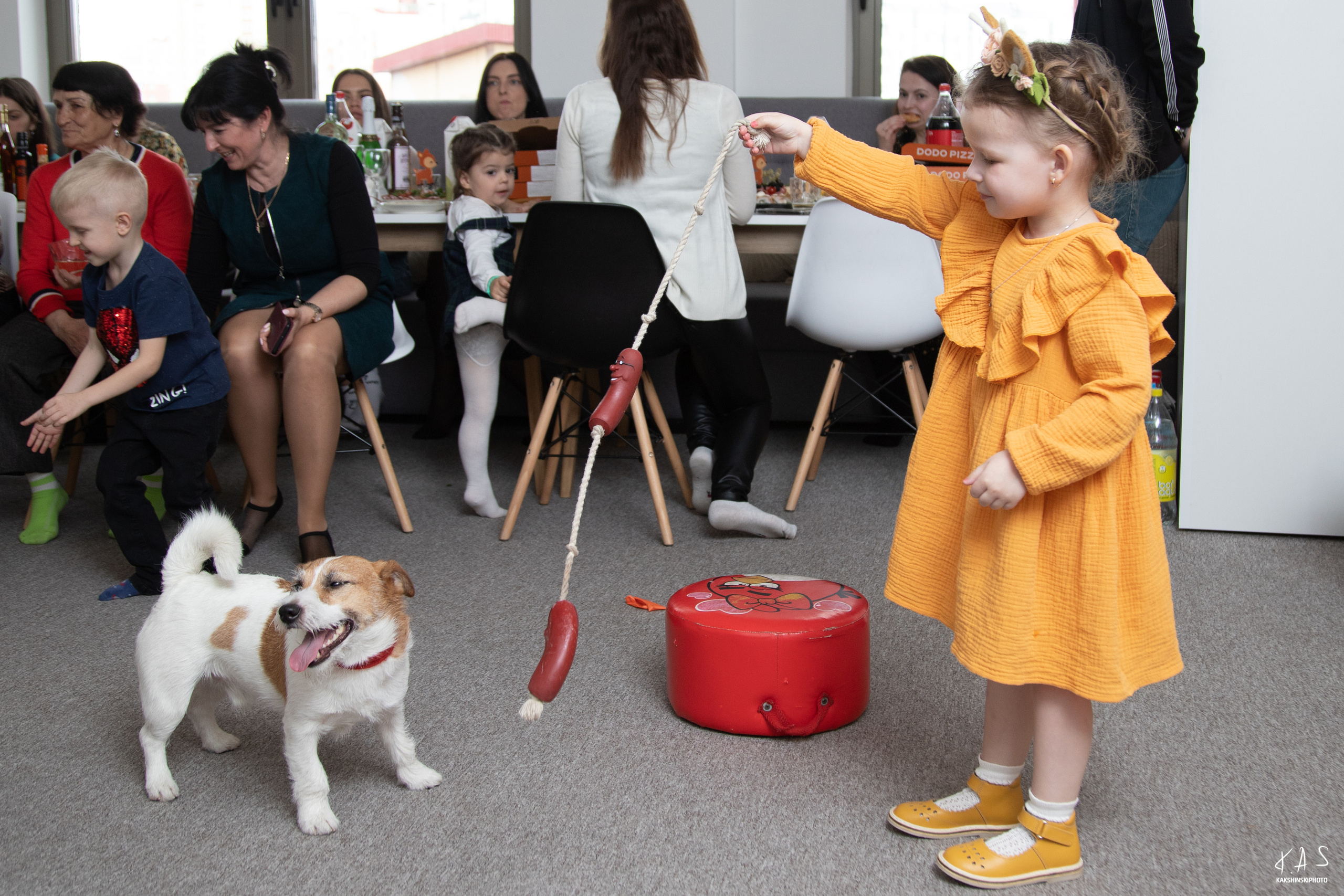 В гостях у Алисы. Фотография и видеосъёмка