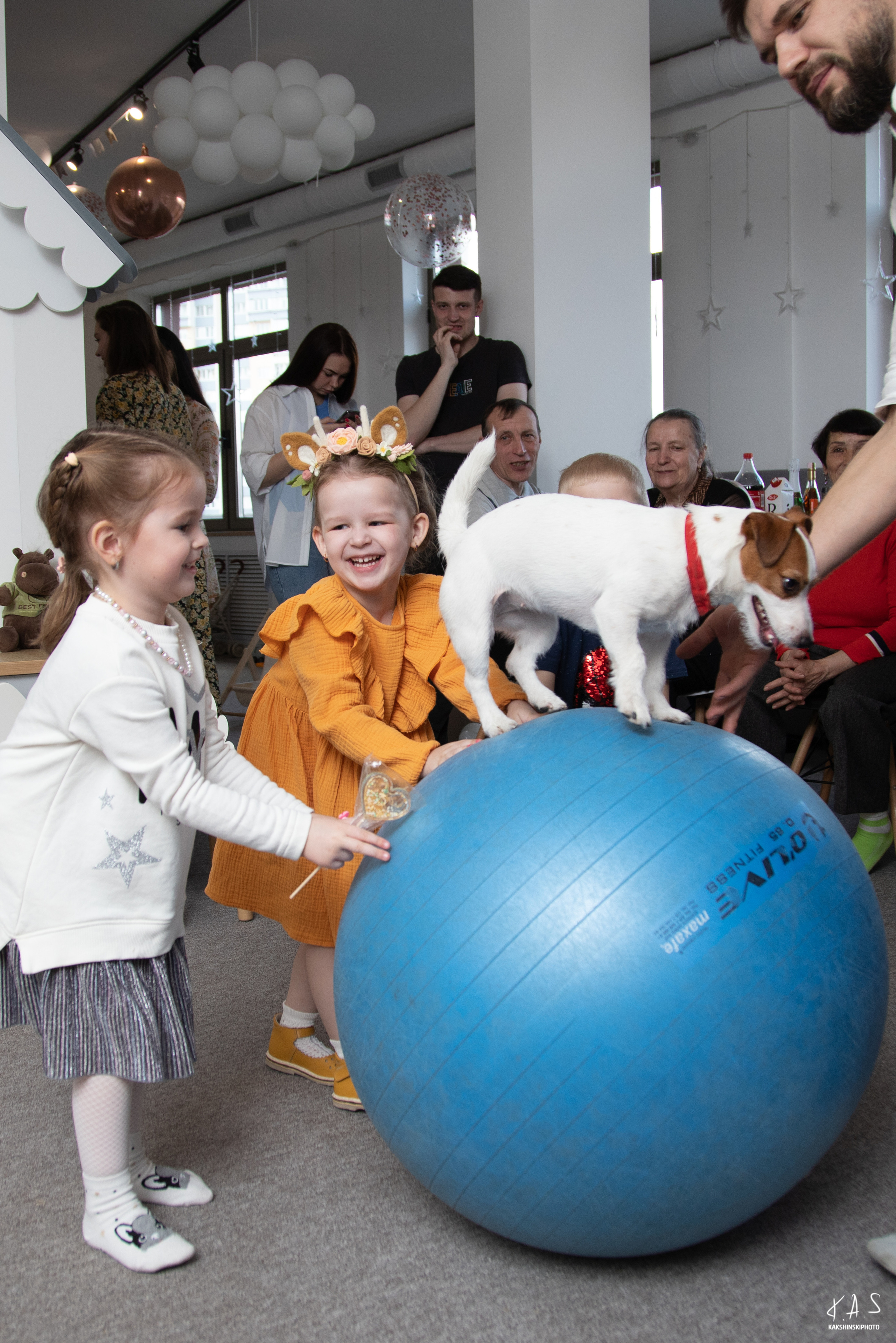 В гостях у Алисы. Фотография и видеосъёмка