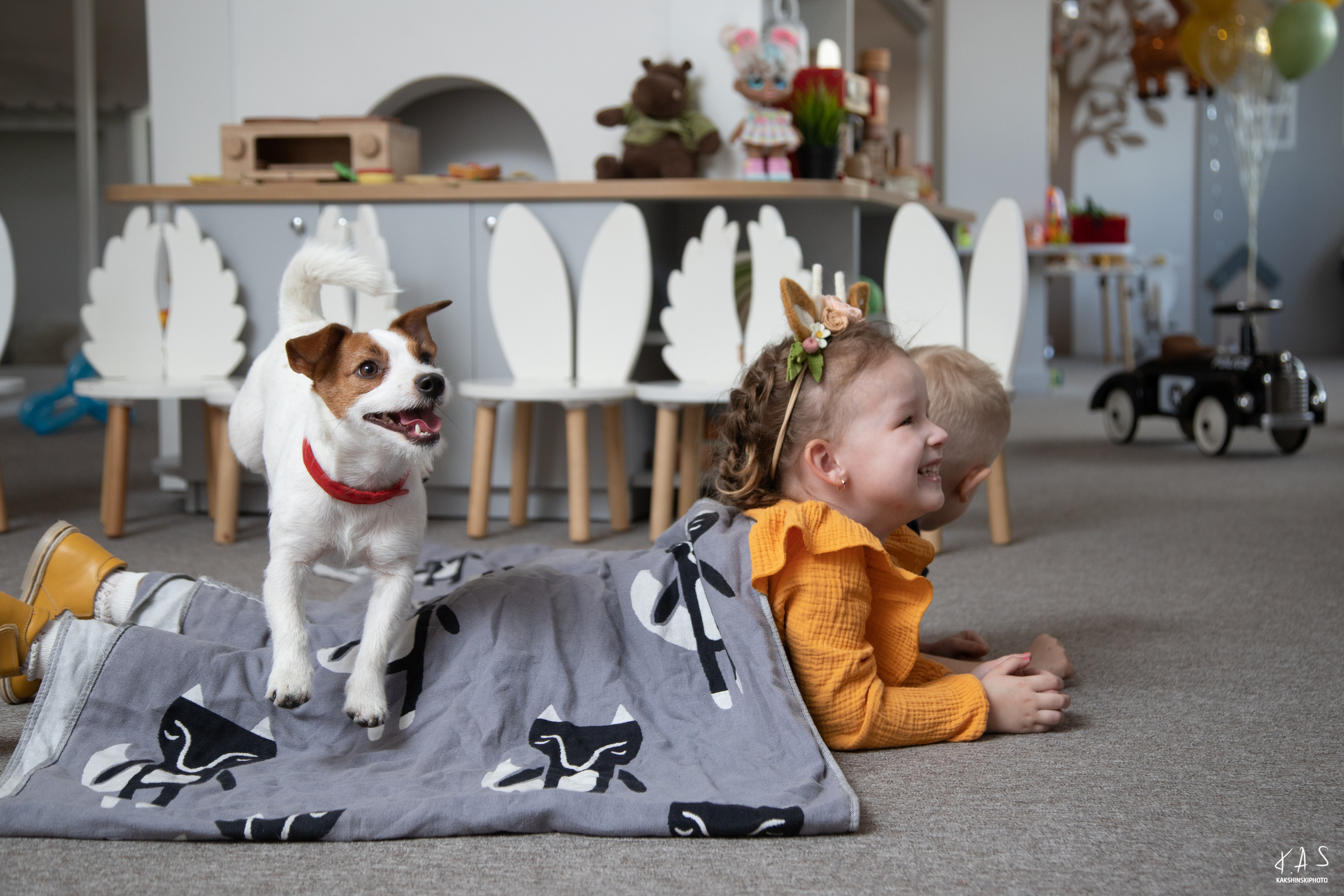 В гостях у Алисы. Фотография и видеосъёмка