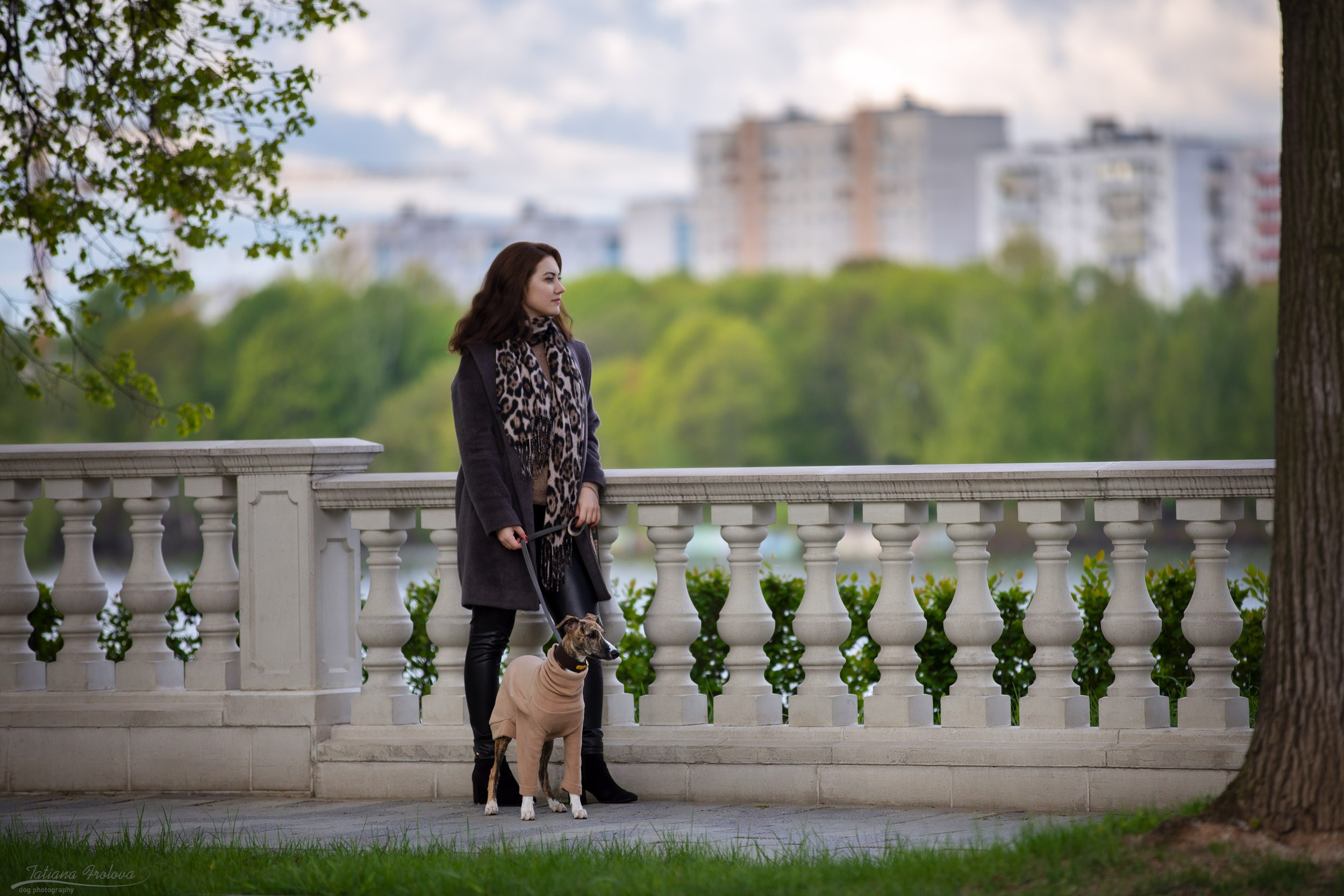 Городская фотопрогулка для Насти и щенка уиппета Корицы. Фотограф-анималист в Москве и Московской области Татьяна Фролова