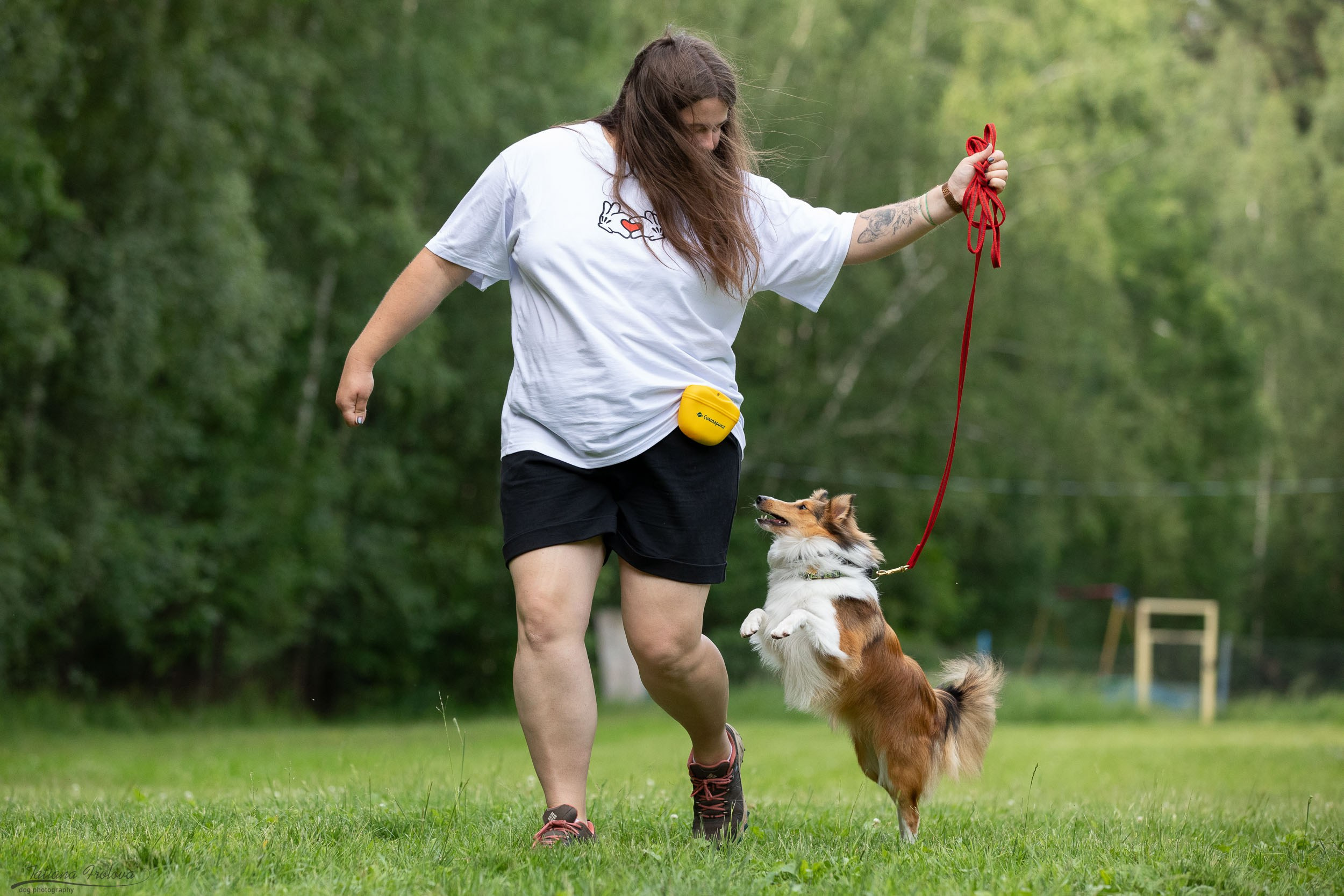 Репортаж с выводки молодняка колли/шелти в Ясенево. Фотограф-анималист в Москве и Московской области Татьяна Фролова