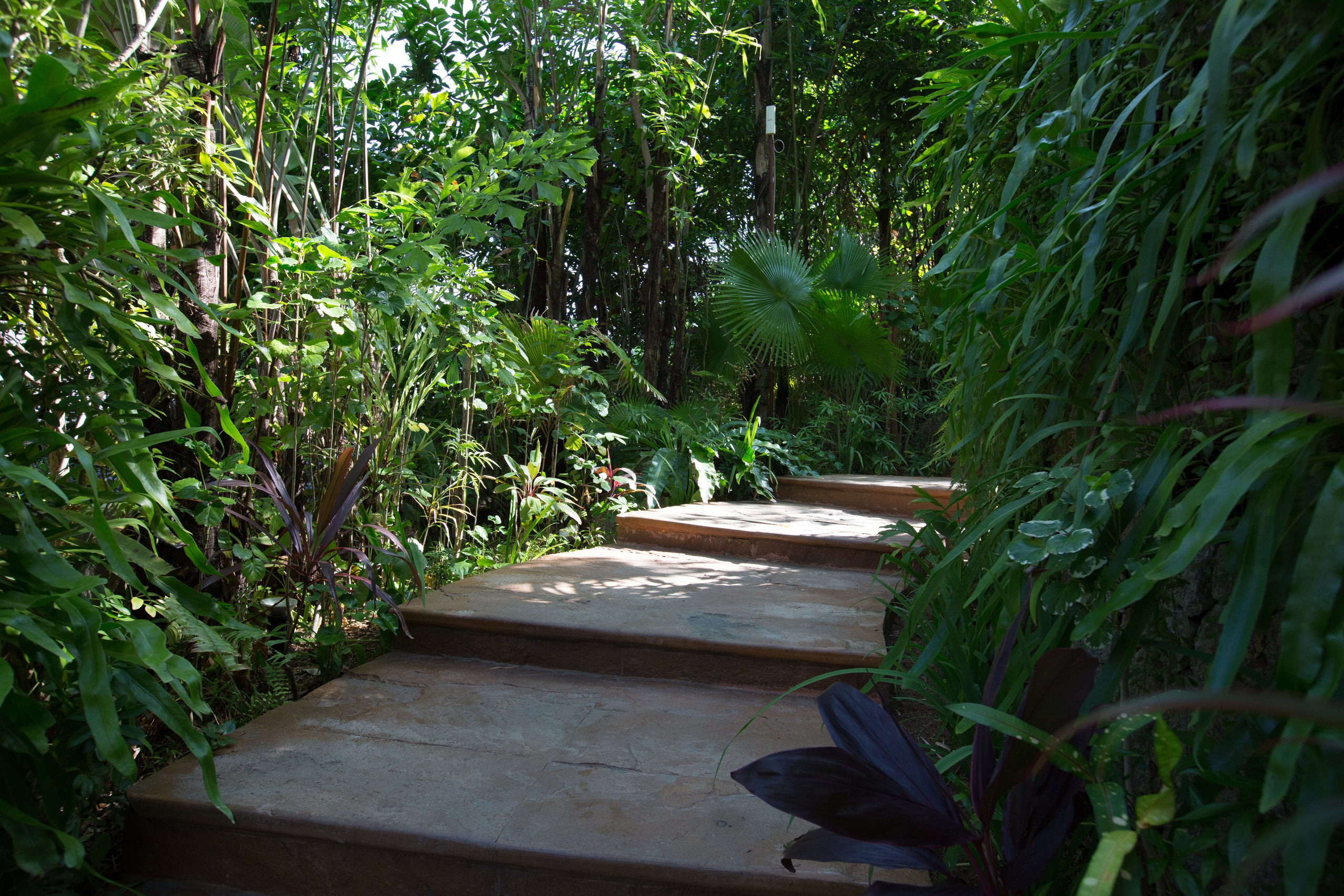 Фото Тайланда. Студия Максима Белослюдцева