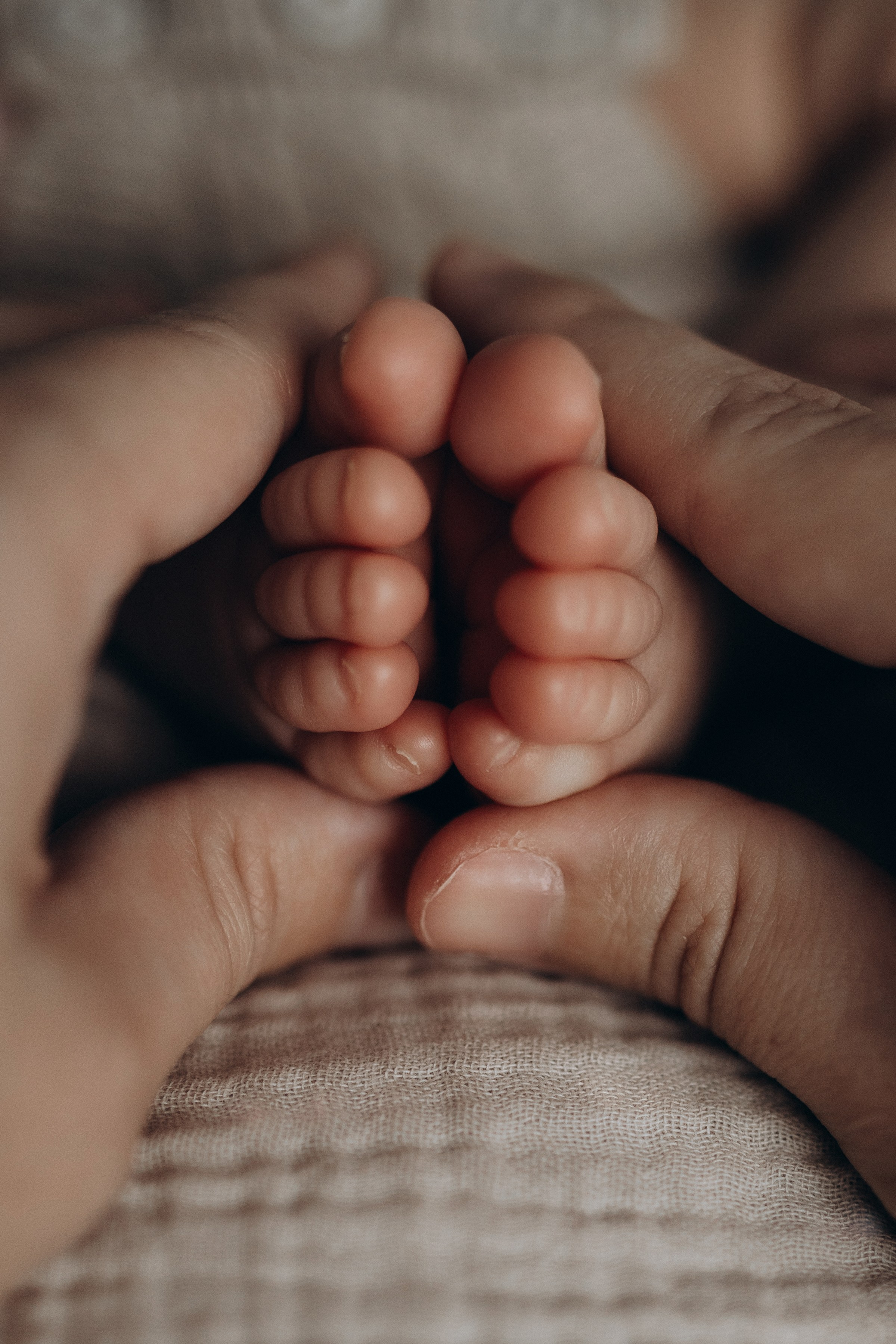 Фотосессия новорождённого Краснодар, семейный фотограф в Краснодаре Яна Морева. Семейный фотограф в Краснодаре Яна Морева