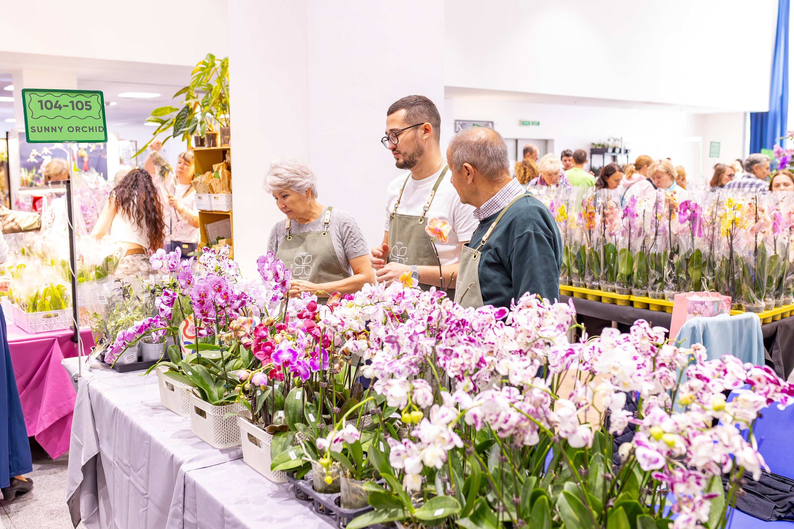 Орхидиум сентябрь 2025. Александра Куликова фотограф, Москва