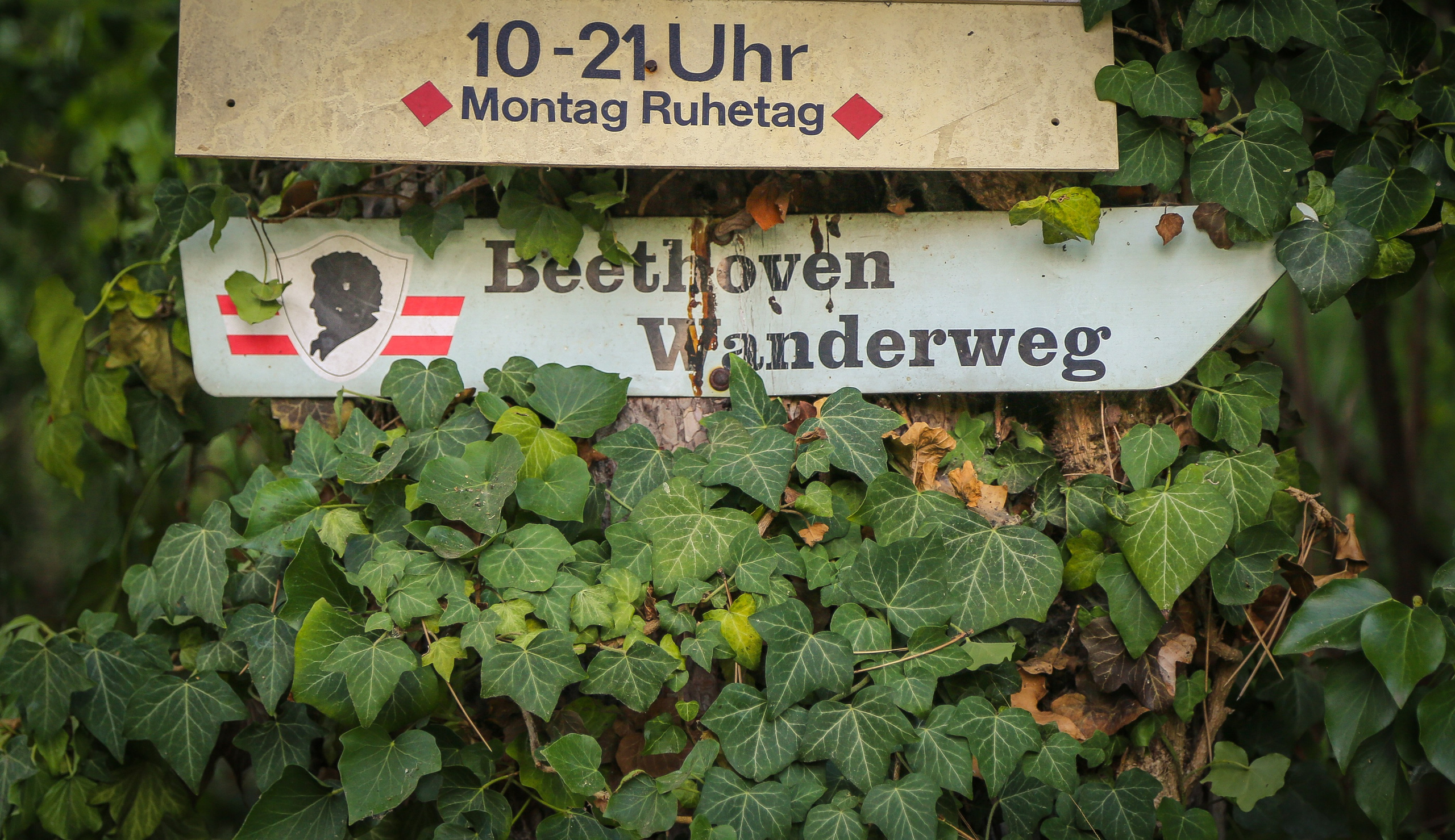 Австрия: Баден. Дарья Письменюк / Darya Leitstern — фотограф, музыкант, журналист, путешественник