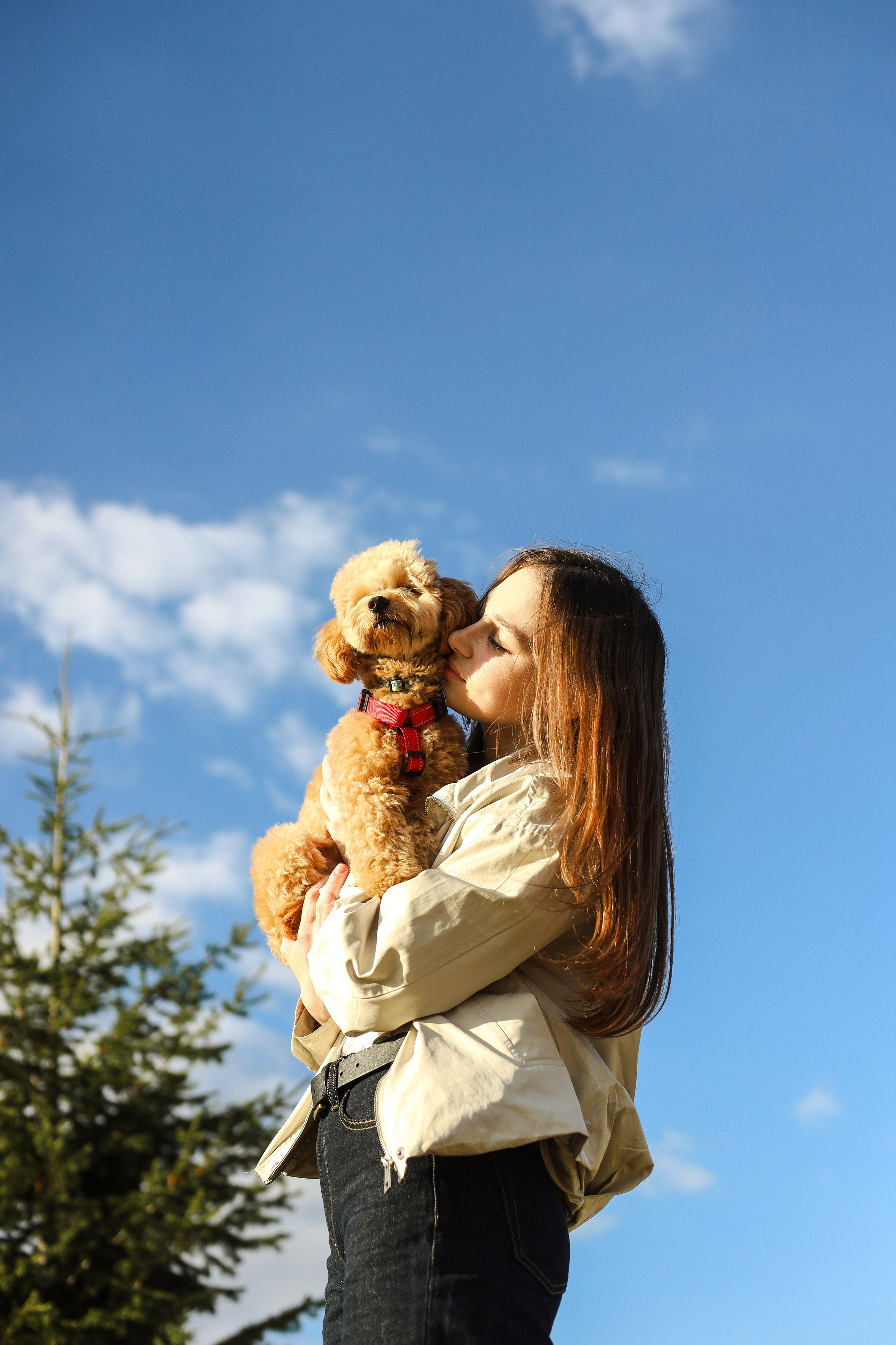 Поршик и Ксения. Фотограф-анималист Ксения Шевцова|Москва
