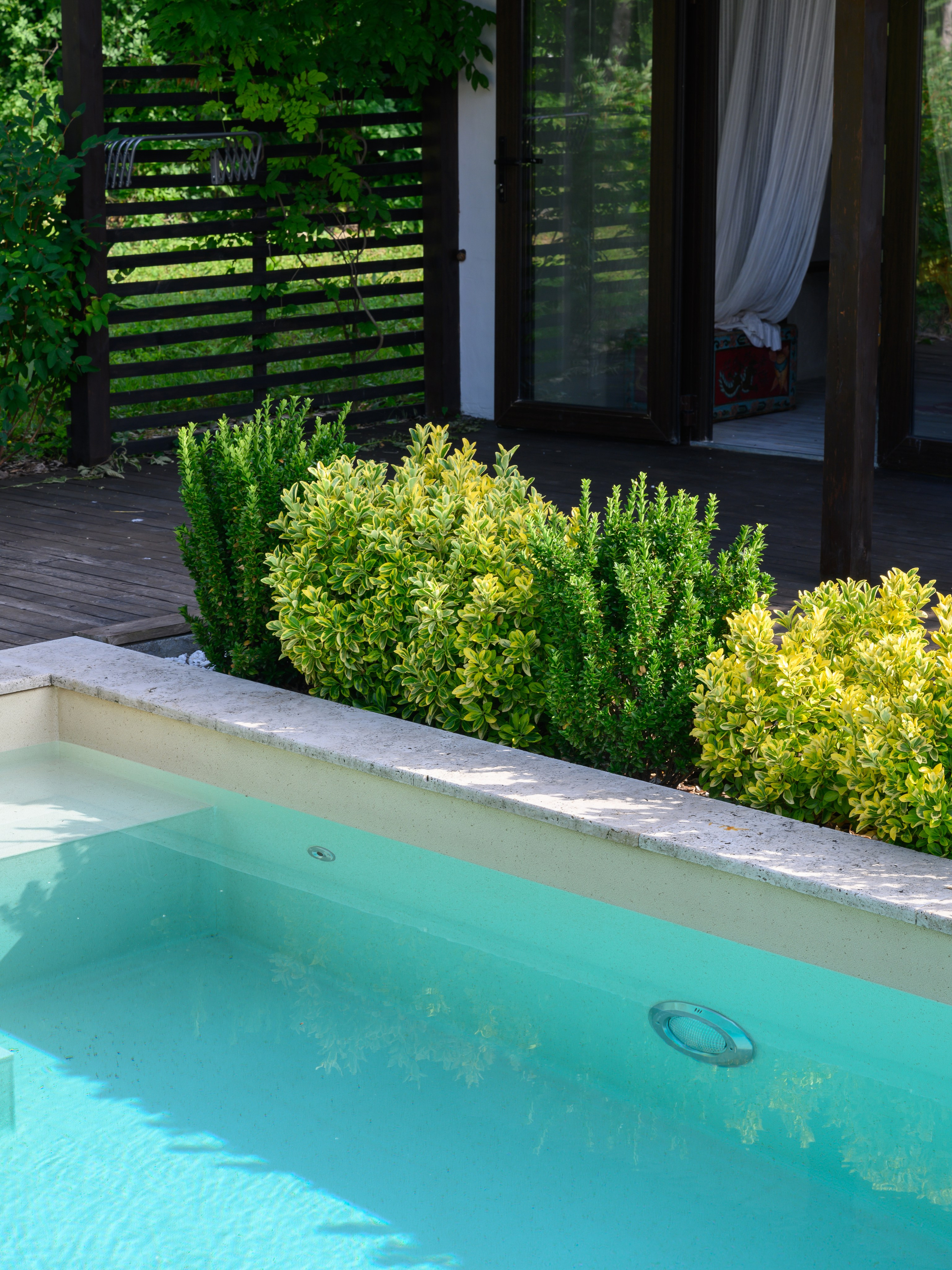 Бассейн в лесу. Интерьерный фотограф Краснодар Денис Педань