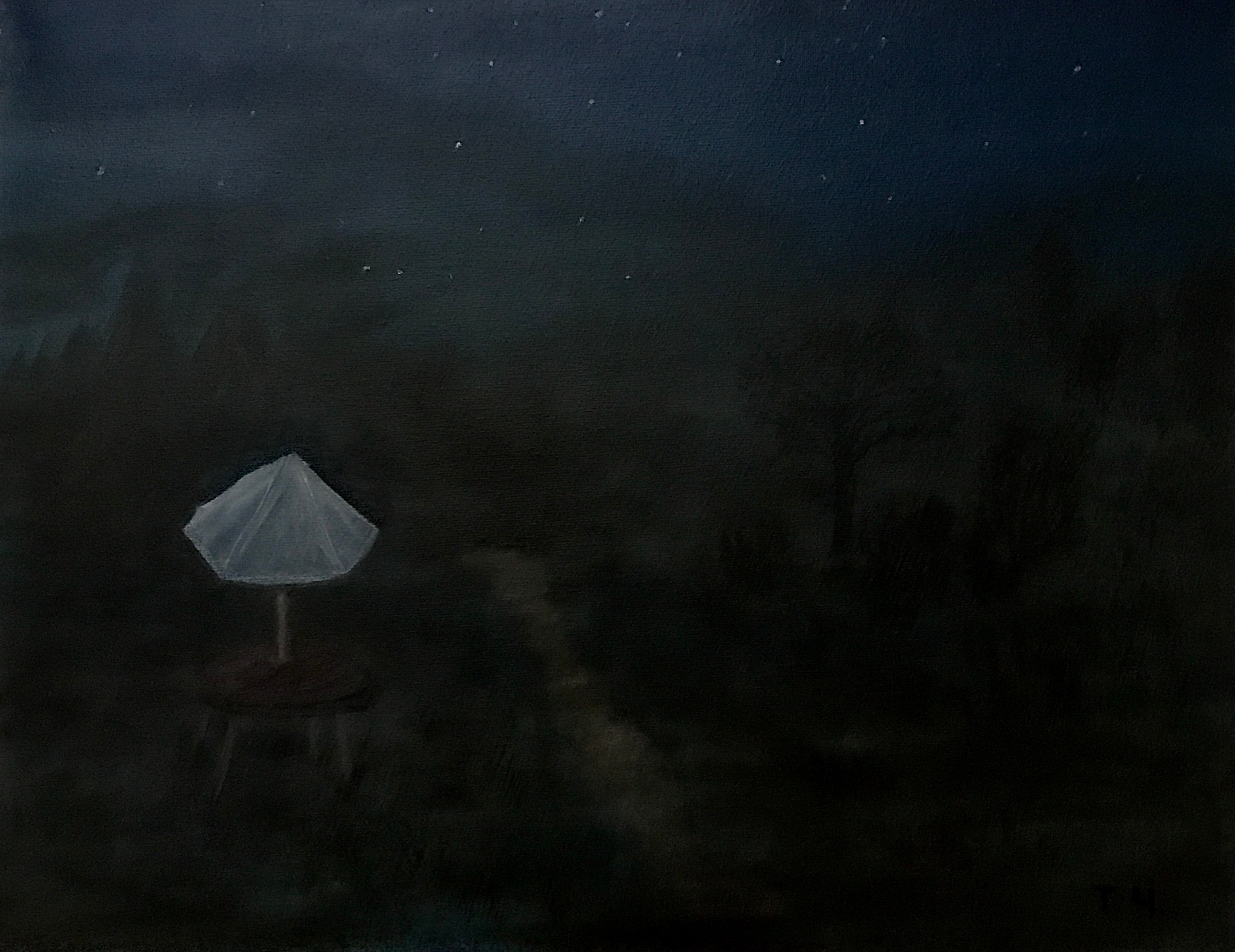 Абстракция. Фантазия. Предрассветное время в деревне, когда все краски это серый цвет.