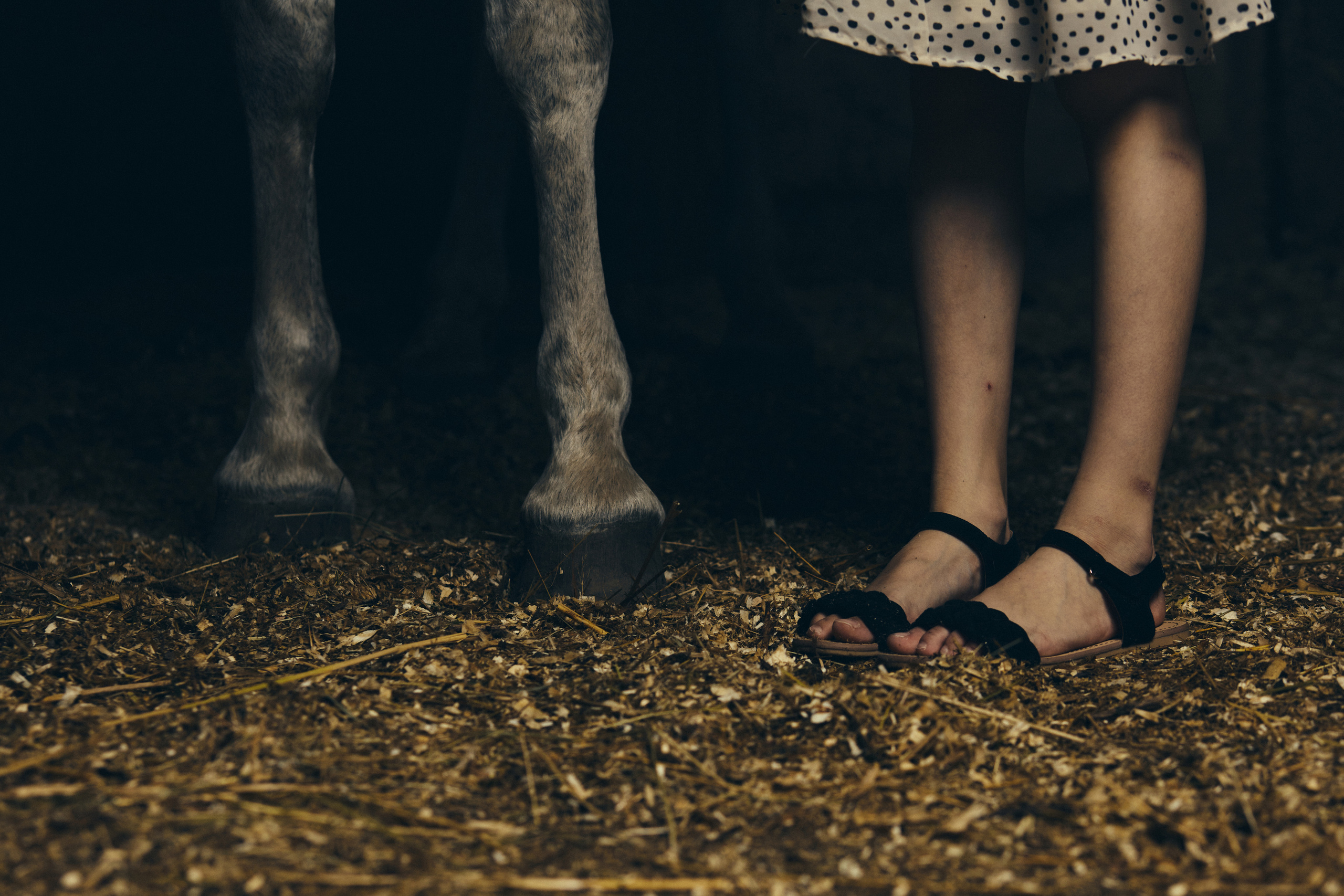 Портретный и интерьерный фотограф в Москве|Кашин Артём